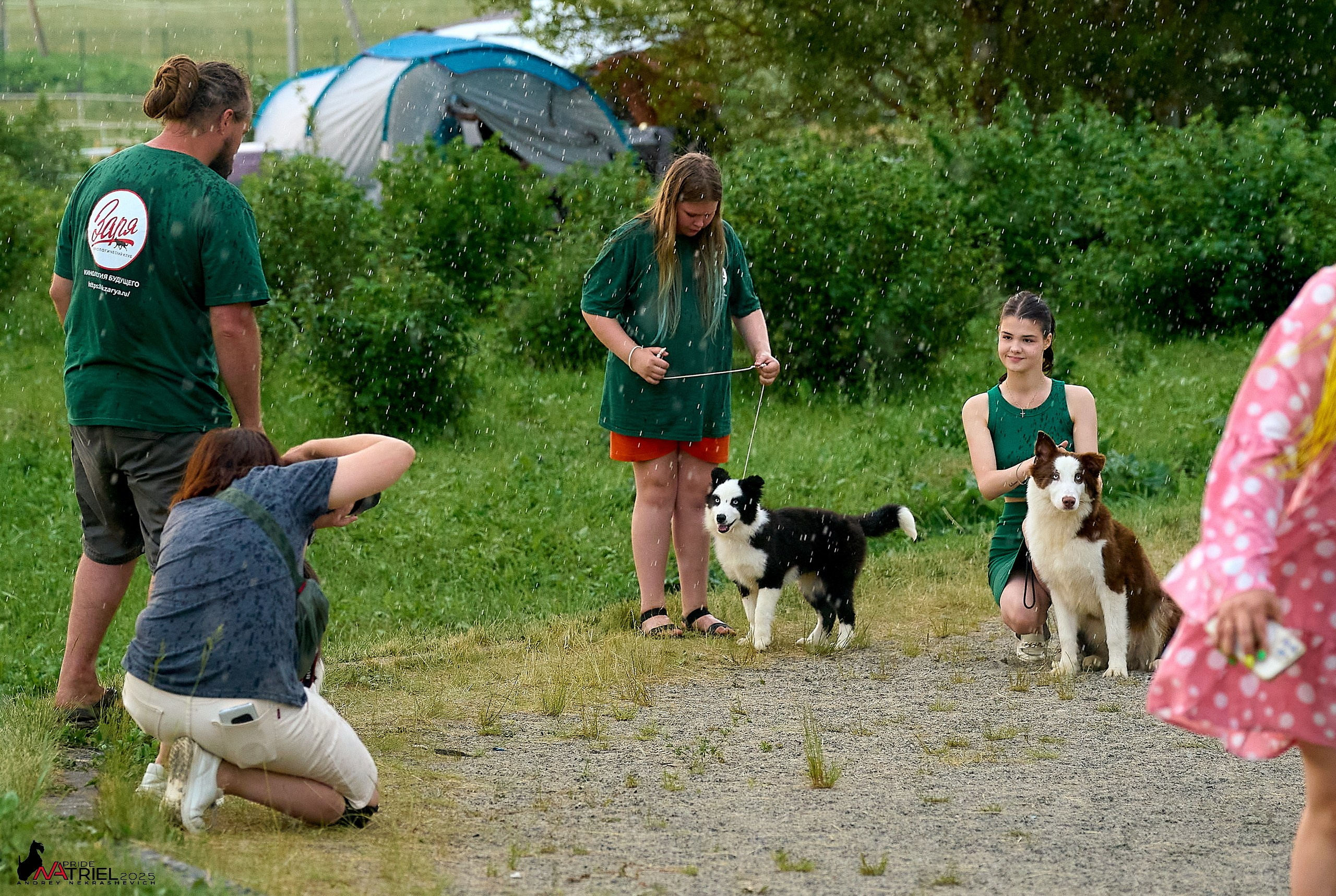 Выставка собак РОССИЯ — 2025