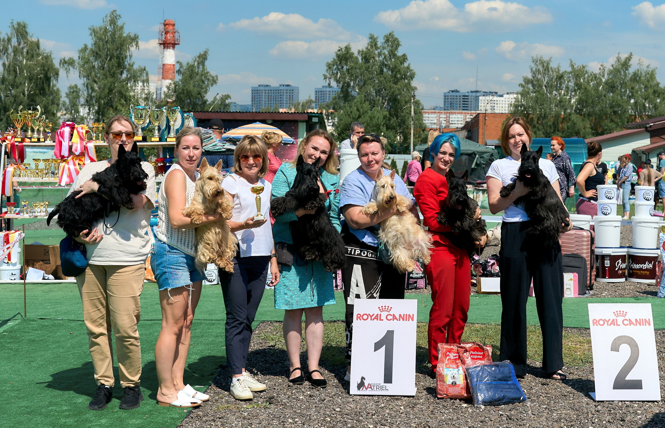 Призовые места — галерея NATRIEL