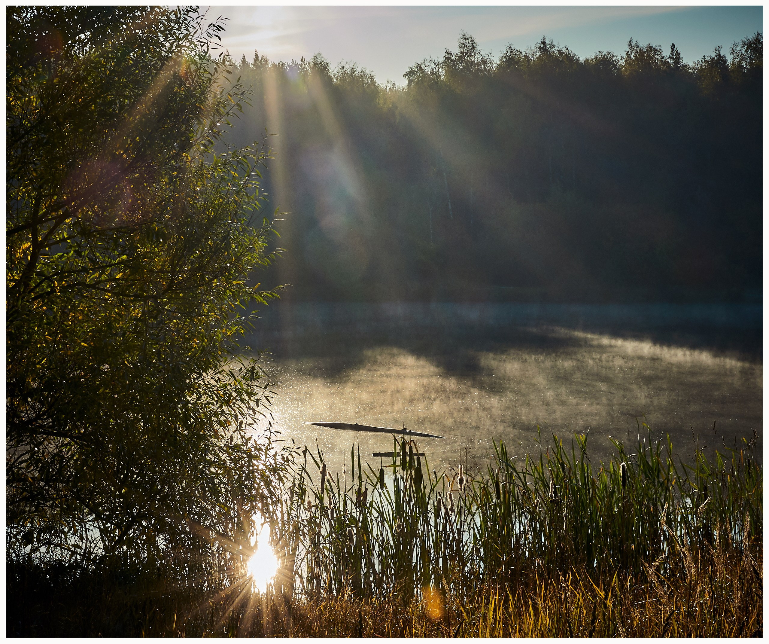 Пейзаж — галерея NATRIEL