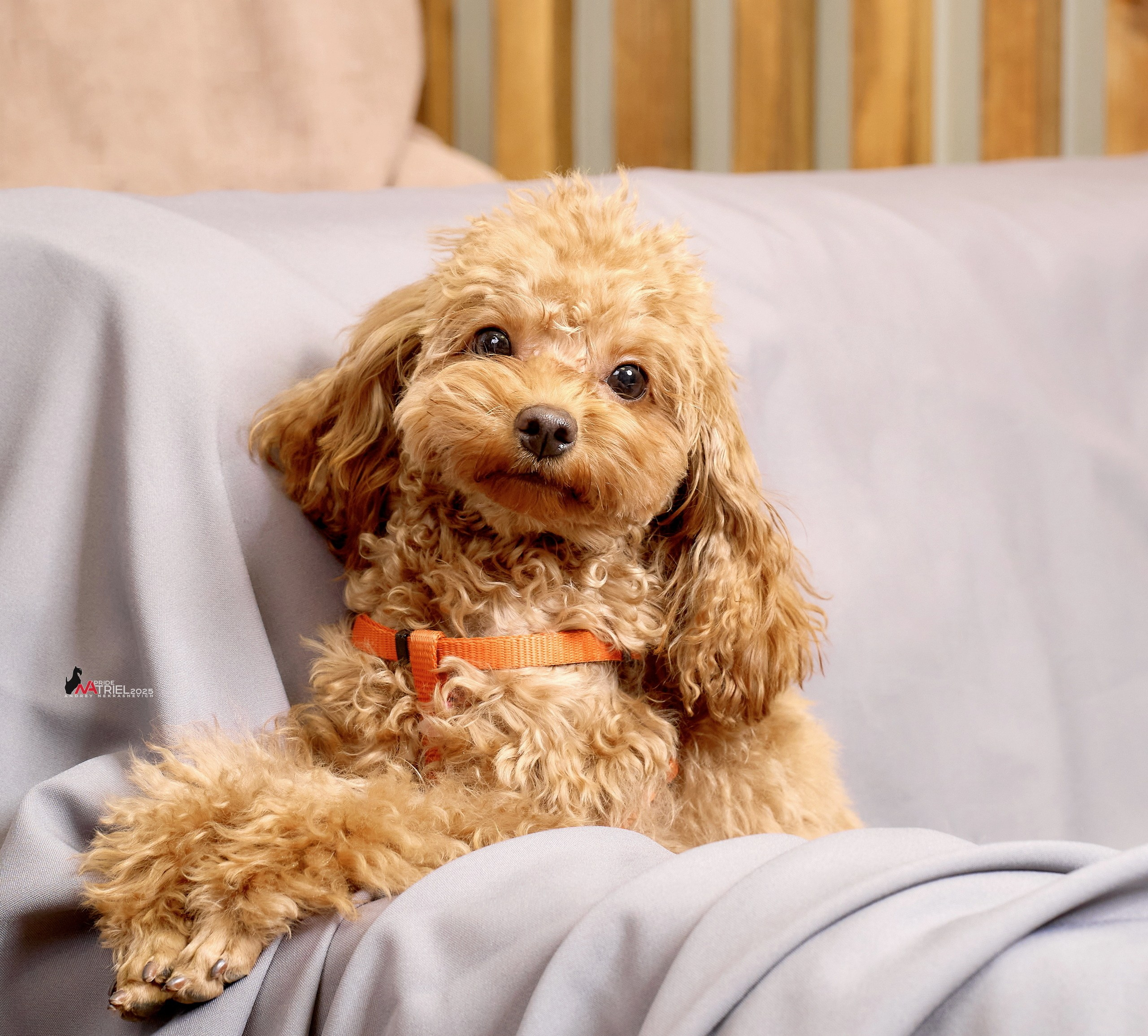 Репортаж GROOM с мобильным светом