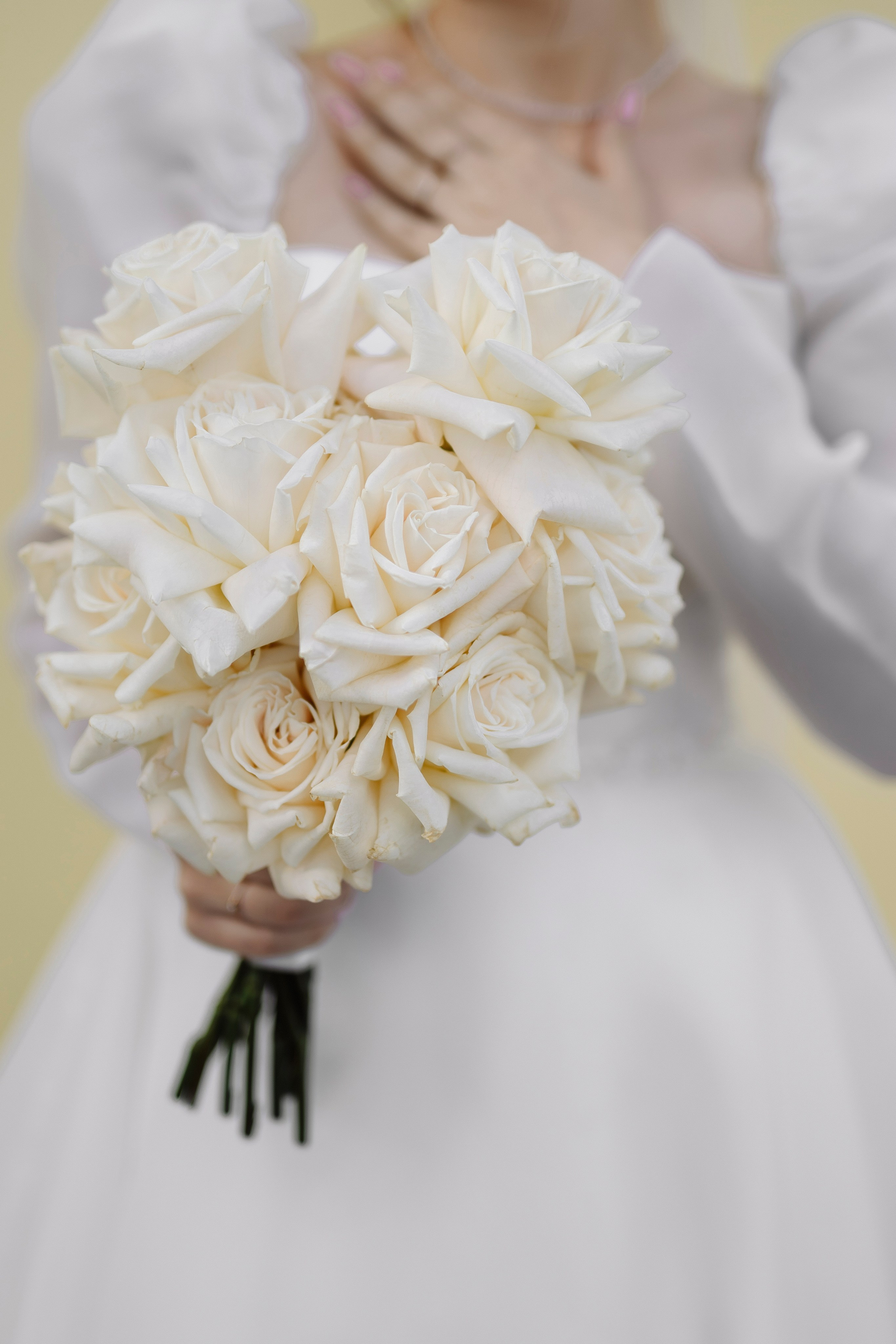 Свадьба Егора и Арины. Фотограф Кольчугино/Владимир/Москва Елизавета Иода