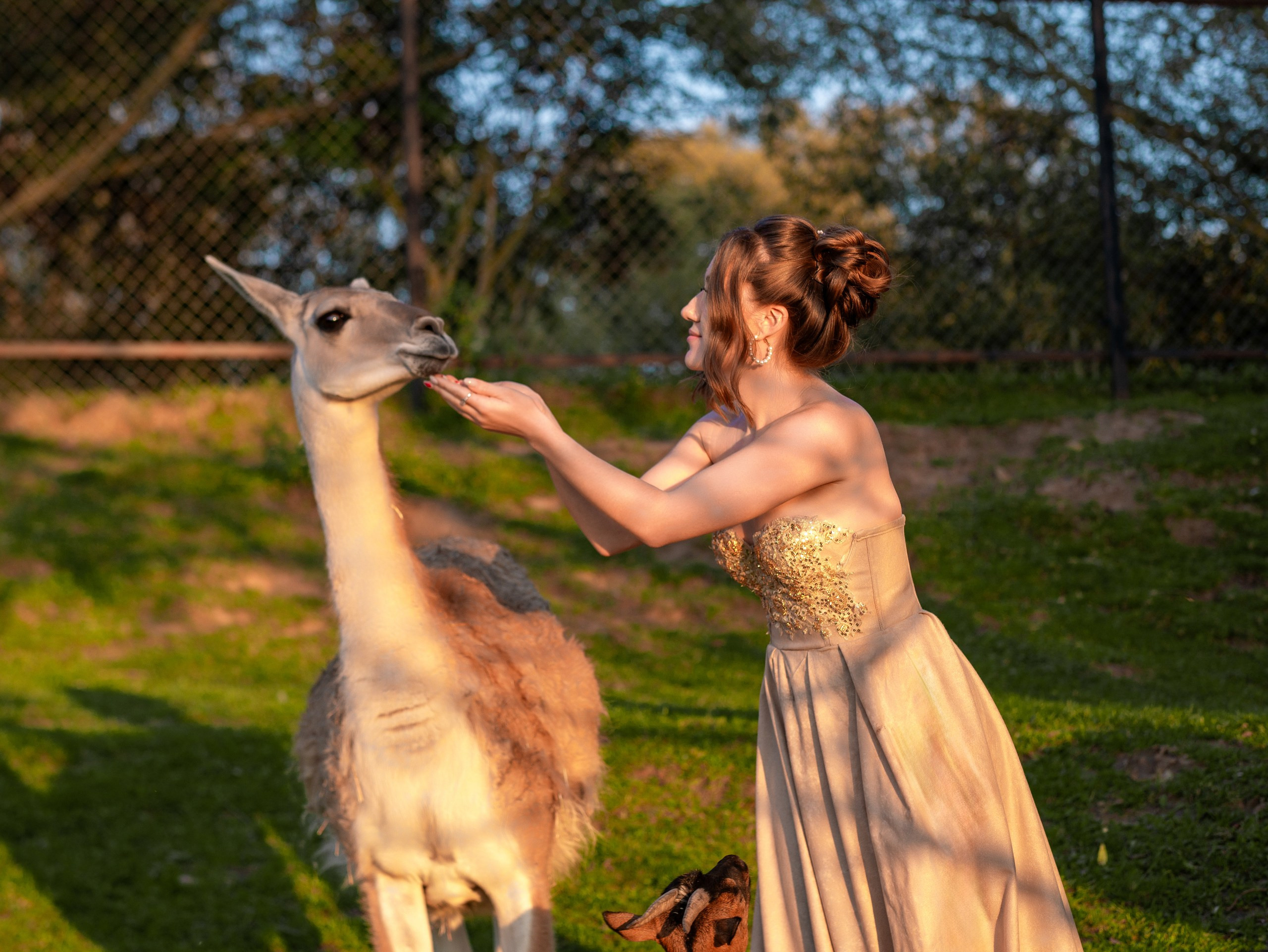 Светлана на ферме аванпост. Арт фотограф, женский фотограф Москва