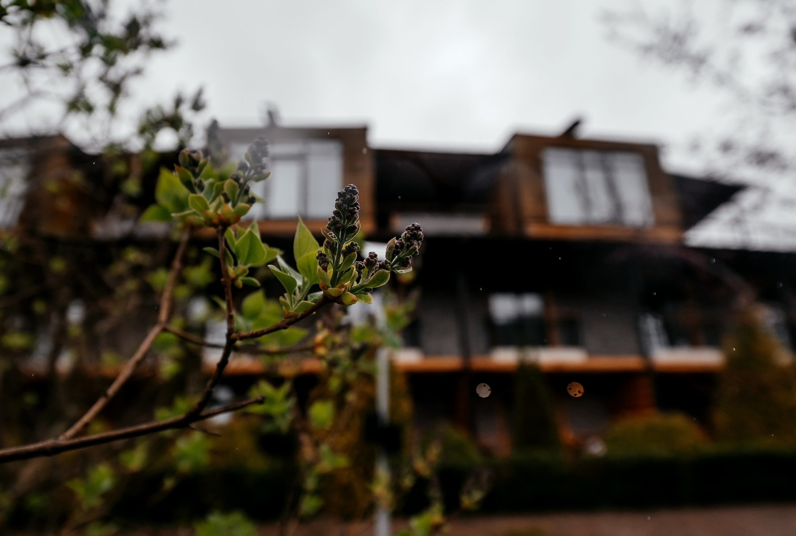 Весь день в Artiland. Атмосферная свадьба в мае. Свадебный и семейный фотограф Виктория Носачёва. Щелково, Москва и МО