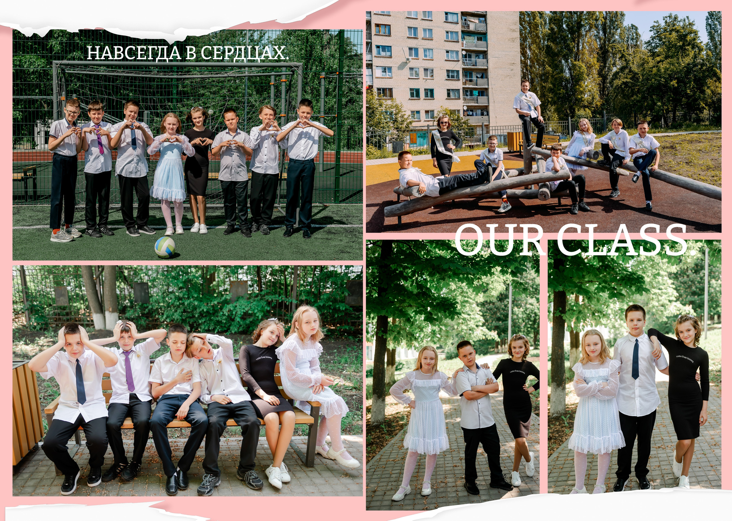 «Розовая и синяя бумага 2025». ALBUMIA