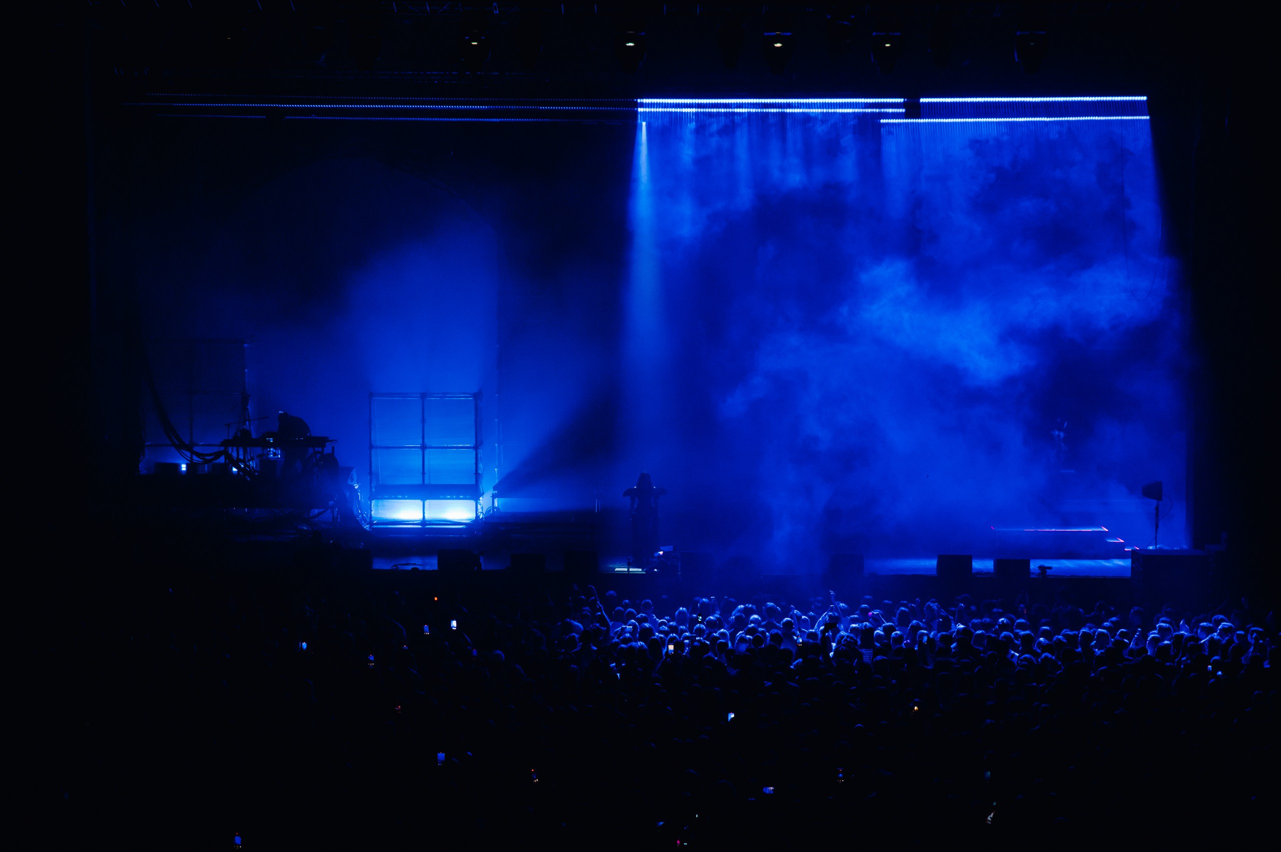 CREAM SODA / 2024. OOPS