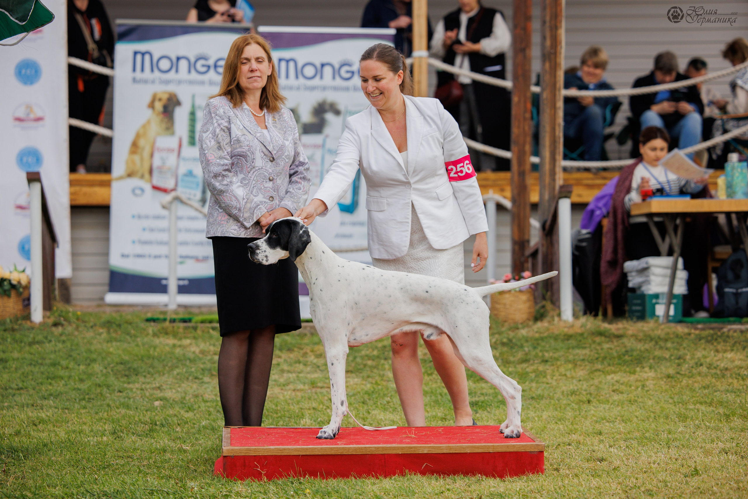 Армения,Ереван 3хCACIB 15-17.10.2024. Фотограф-анималист Юлия Германика