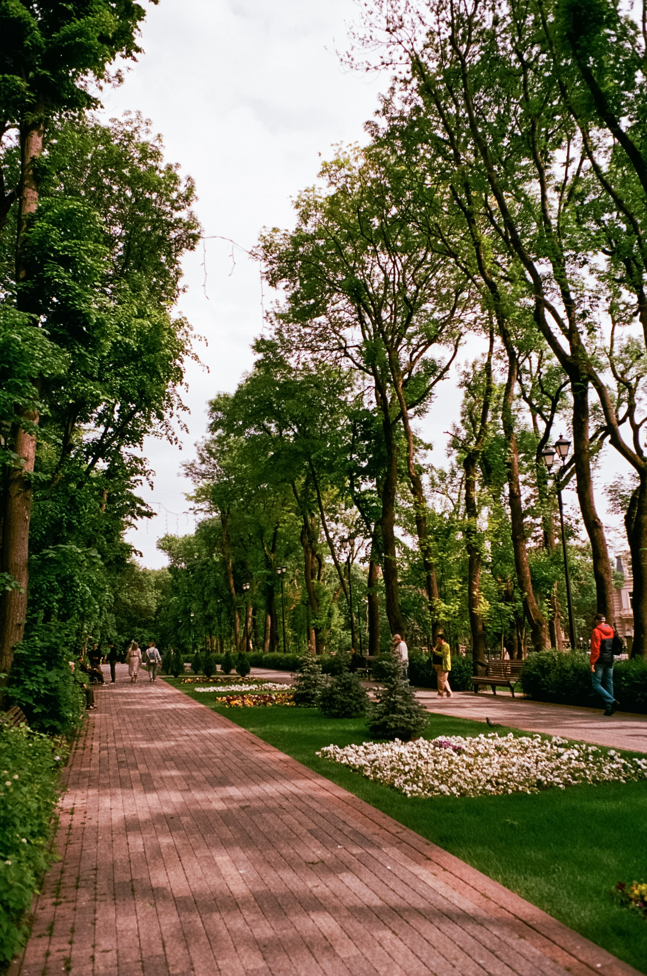 Парк Ессентуки и дорога к перевалу / Kodak Aerocolor IV / BESSA-T