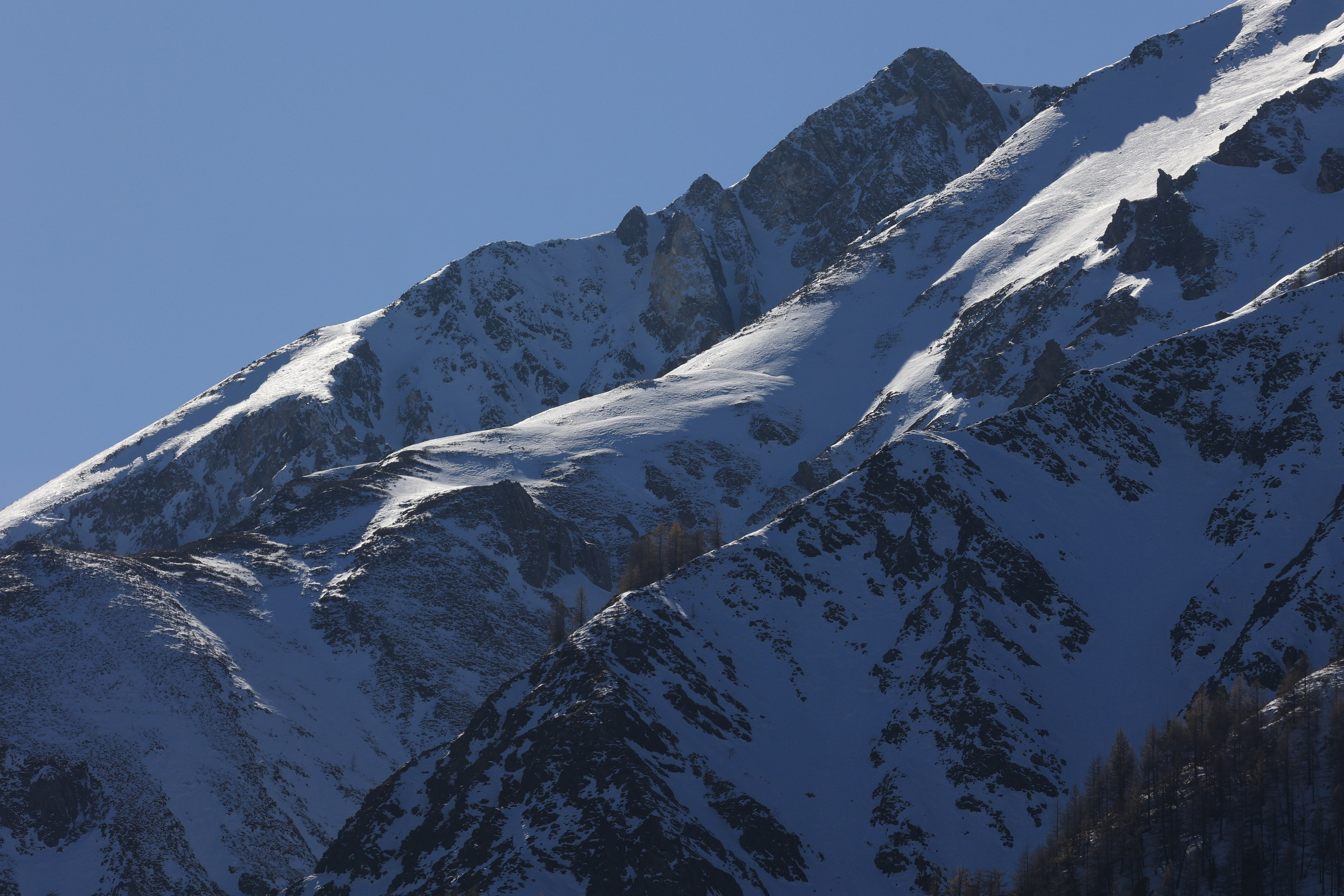 2023. Тащилин Сергей. Фотографии. Жизнь. Хобби