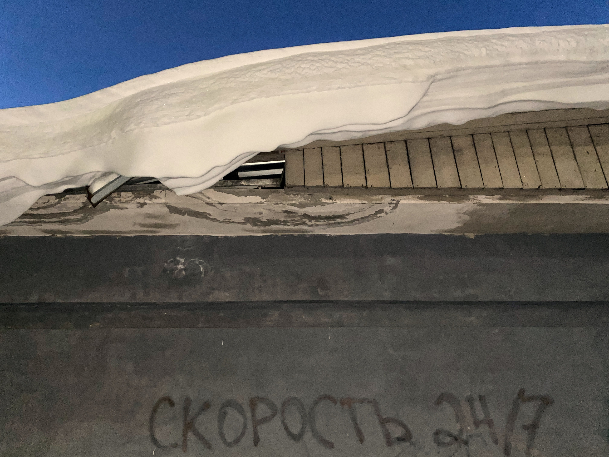 2023. Тащилин Сергей. Фотографии. Жизнь. Хобби