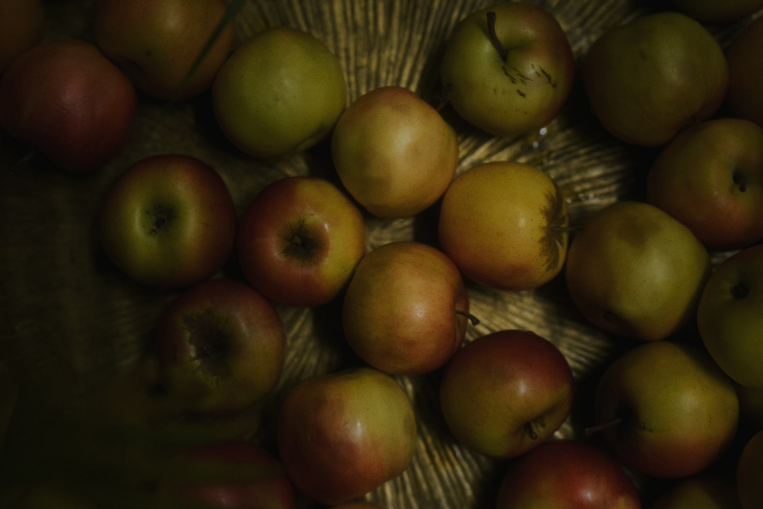 Café krasnodar. Фотограф Юрин Евгений