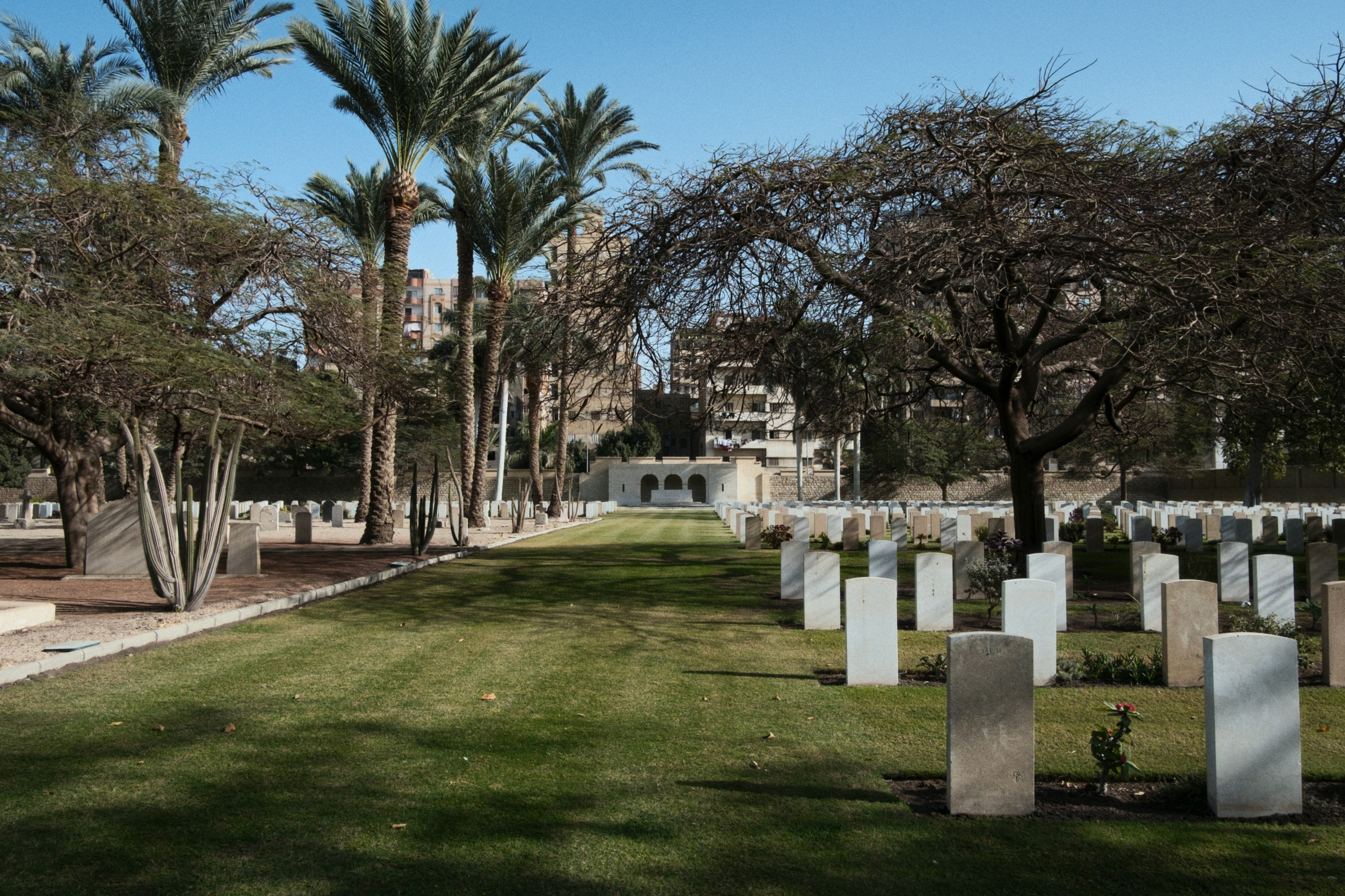 War Memorial Cemetery / Cairo, Egypt AW25. Фотограф Юрин Евгений
