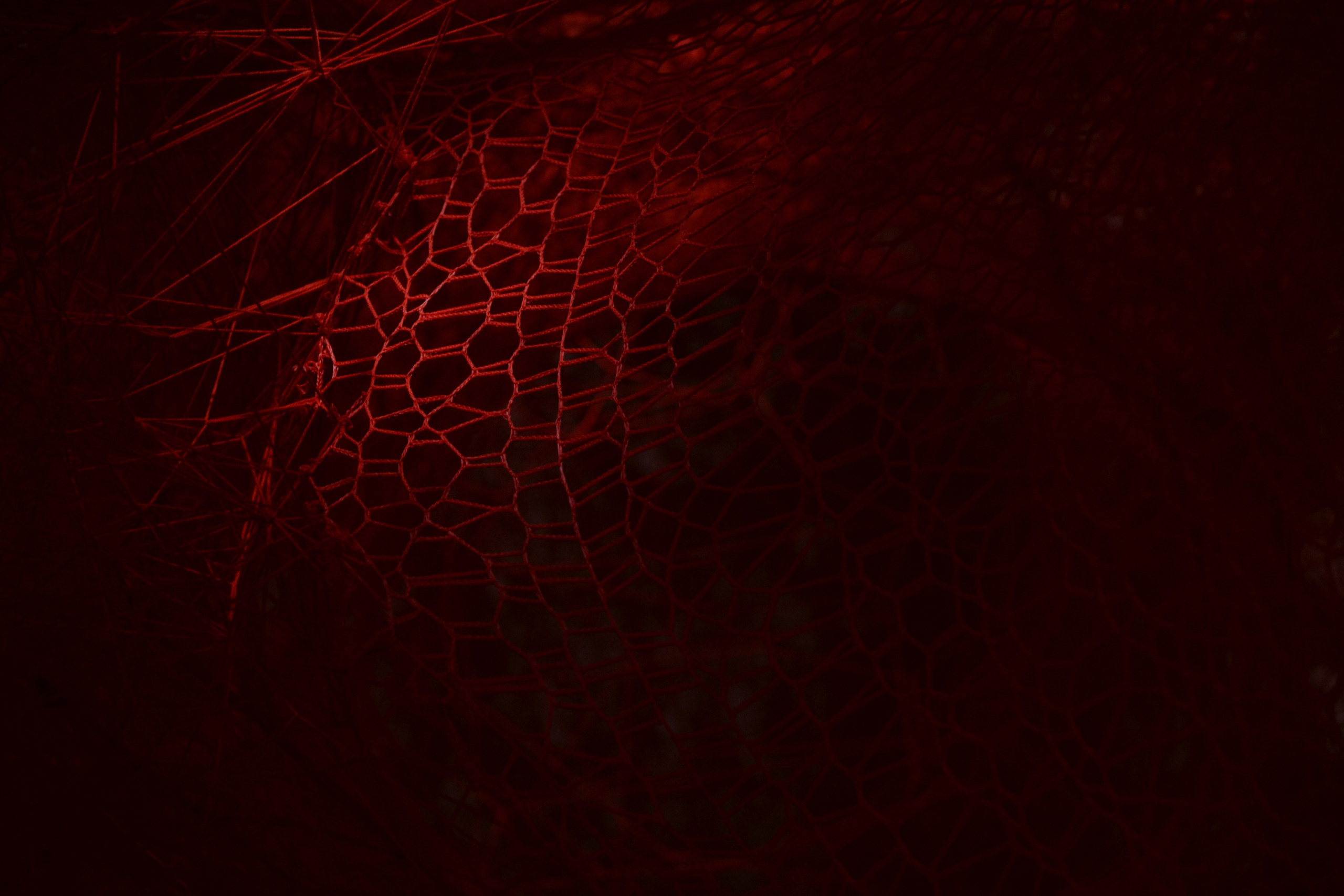 Istanbul Modern. Фотограф Юрин Евгений