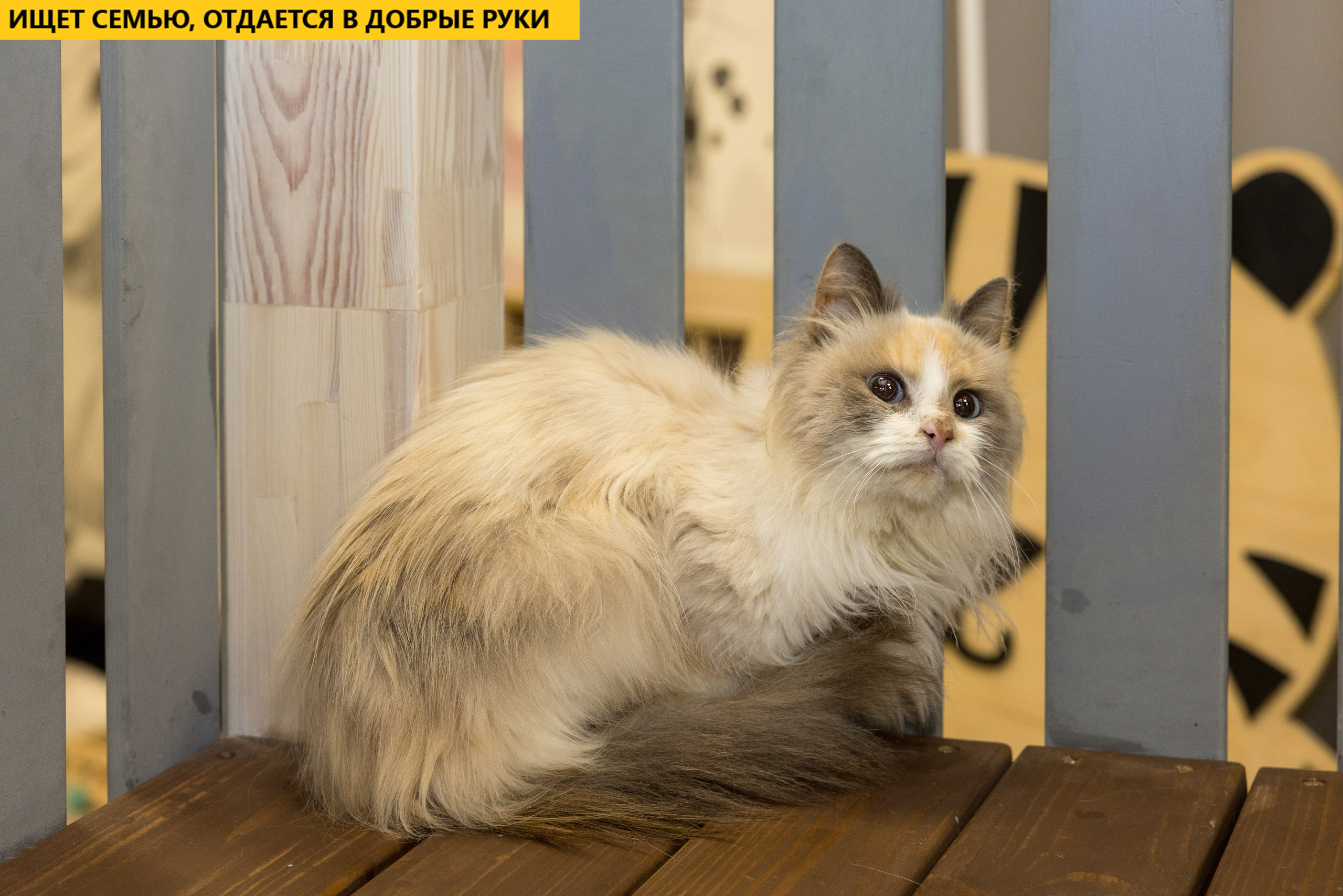 Рекламная съемка в Москве. Геннадий Степанов —фотограф в Москве