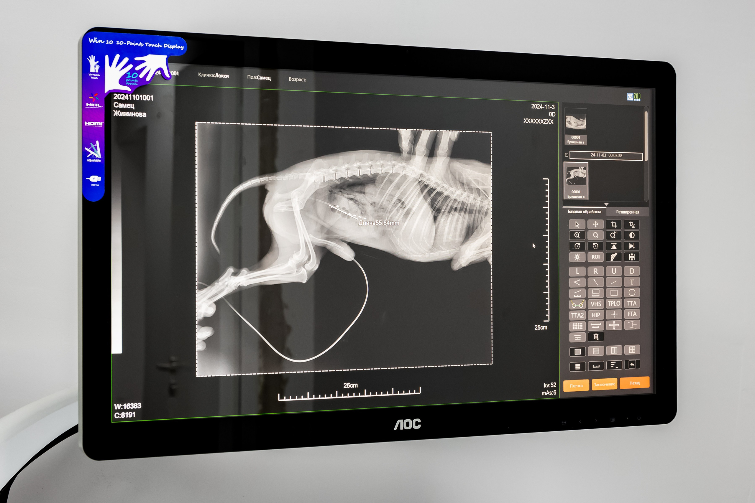 Интерьерная съемка для ветеринарной клиники КотОся. Интерьеры, Контент, Портреты | Фотограф в Москве Дани Терно