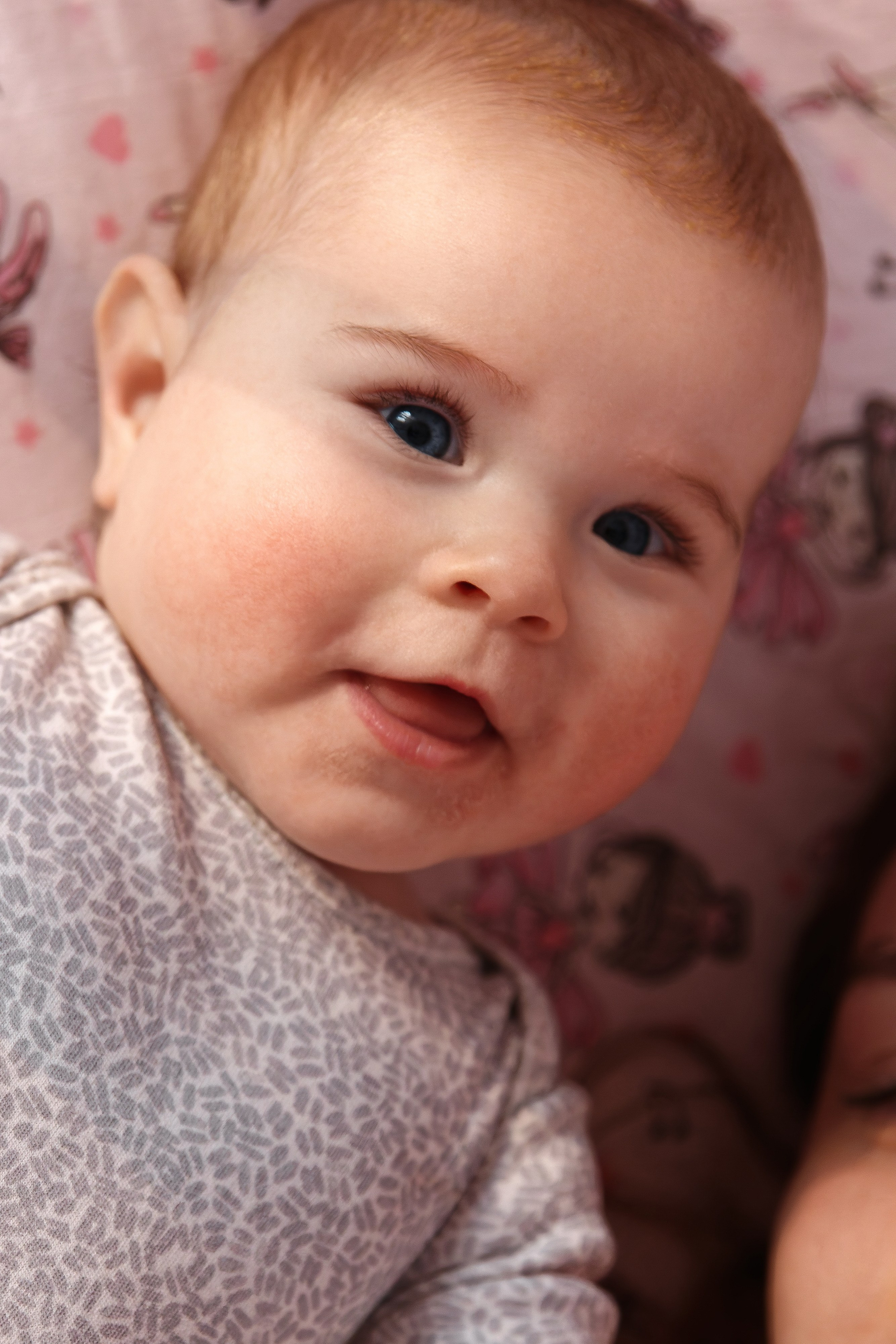 Семейный фотограф — Макс Белогрудов