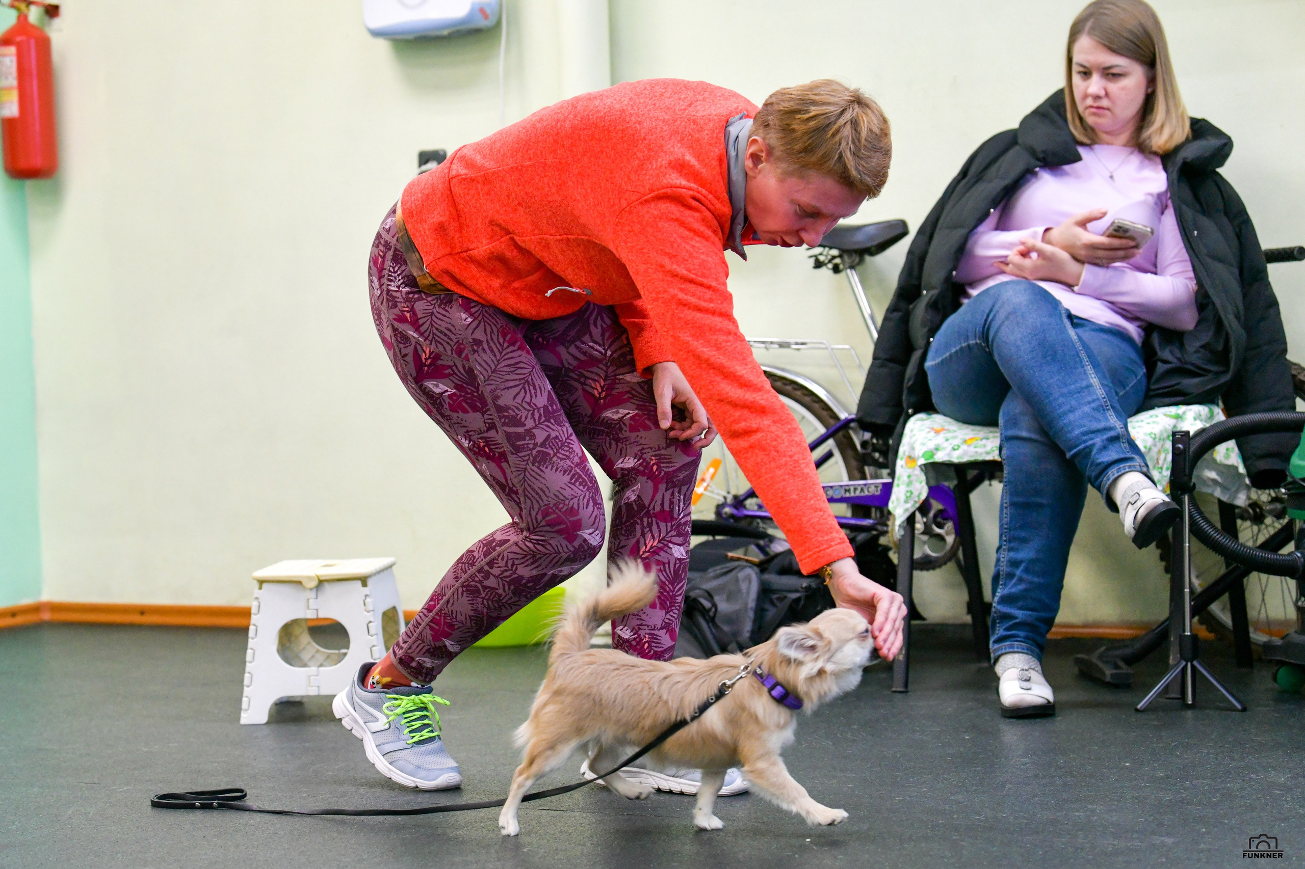 Кинологический клуб «Бодрый хвост». Свой взгляд через объектив