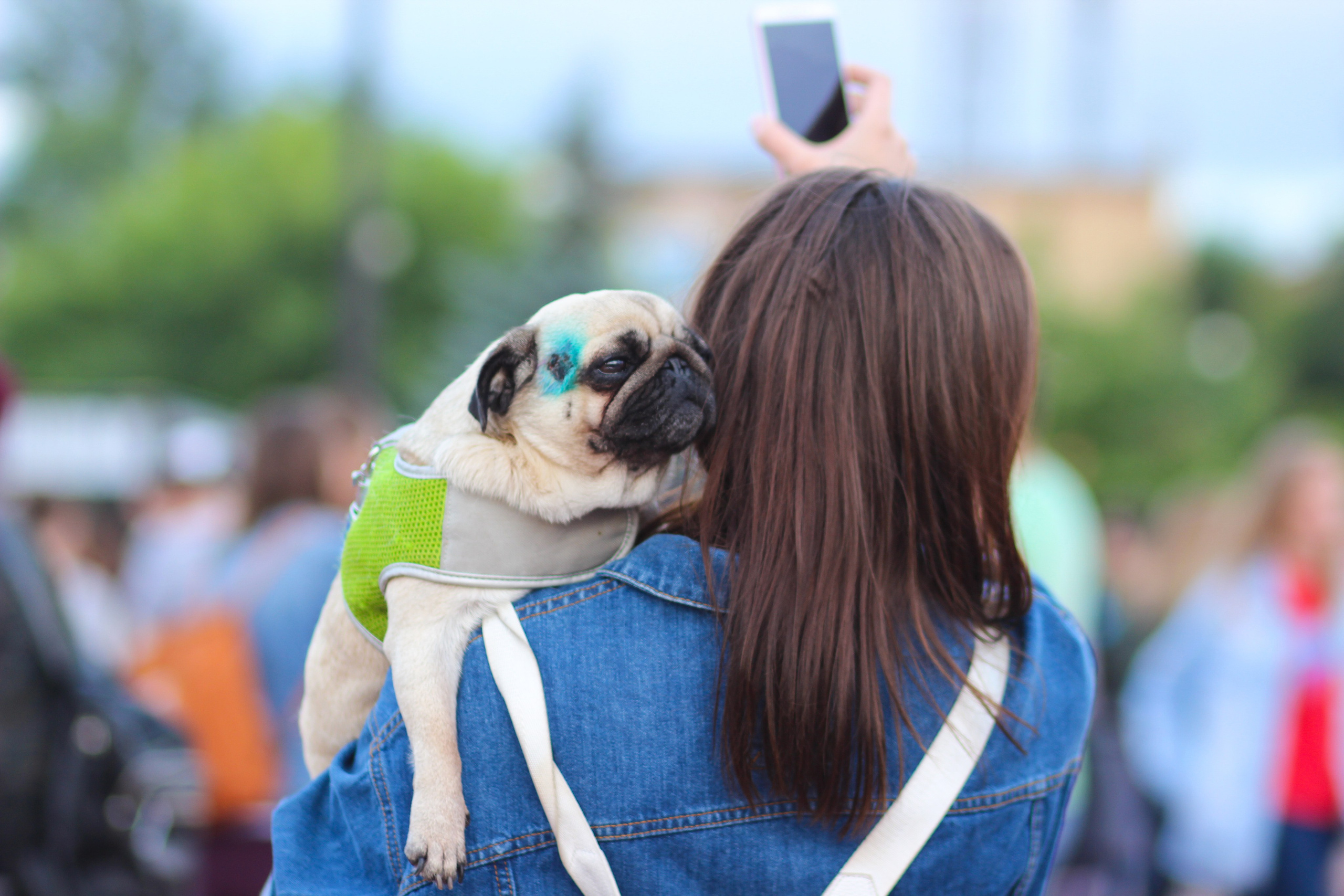 Каменка. Фотограф Дарья Локотко в Красноярске