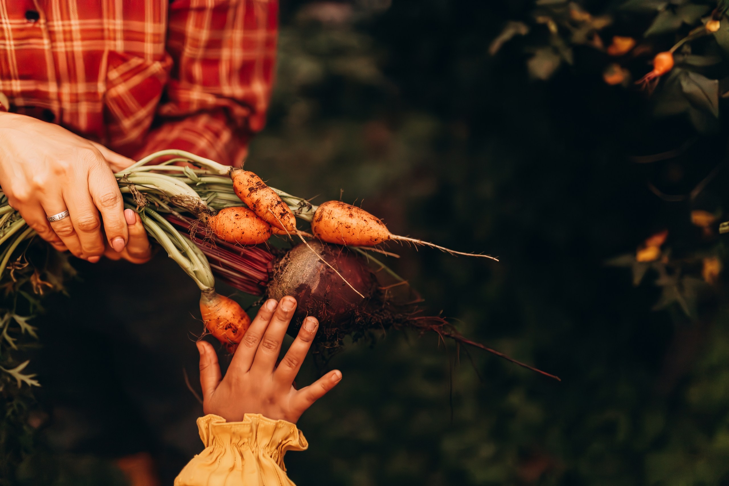 Портфолио. Семейный лайфстайл фотограф Ксюша Кирьянова