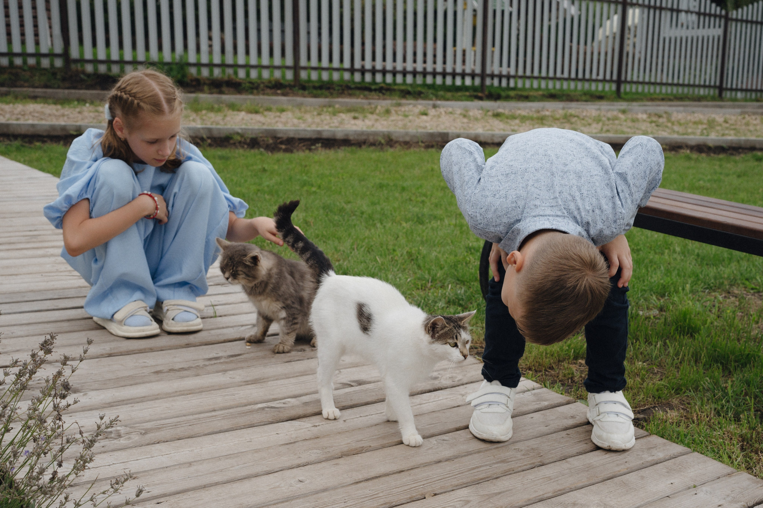 Егор+Вика. Свадебный и репортажный фотограф Александр Родин