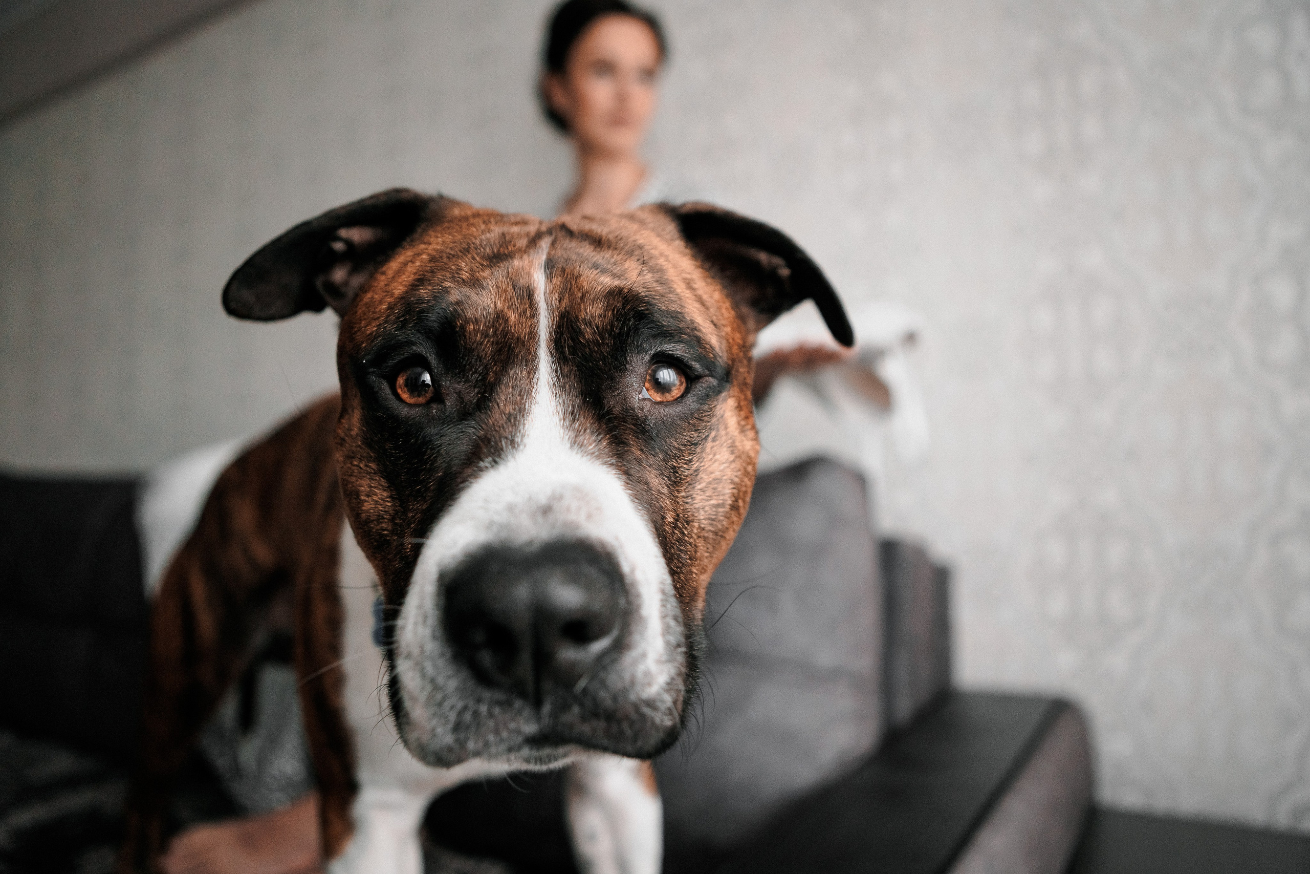 Анастасия и Павел. Свадебный и портретный фотограф в Архангельске Илья Труфанов