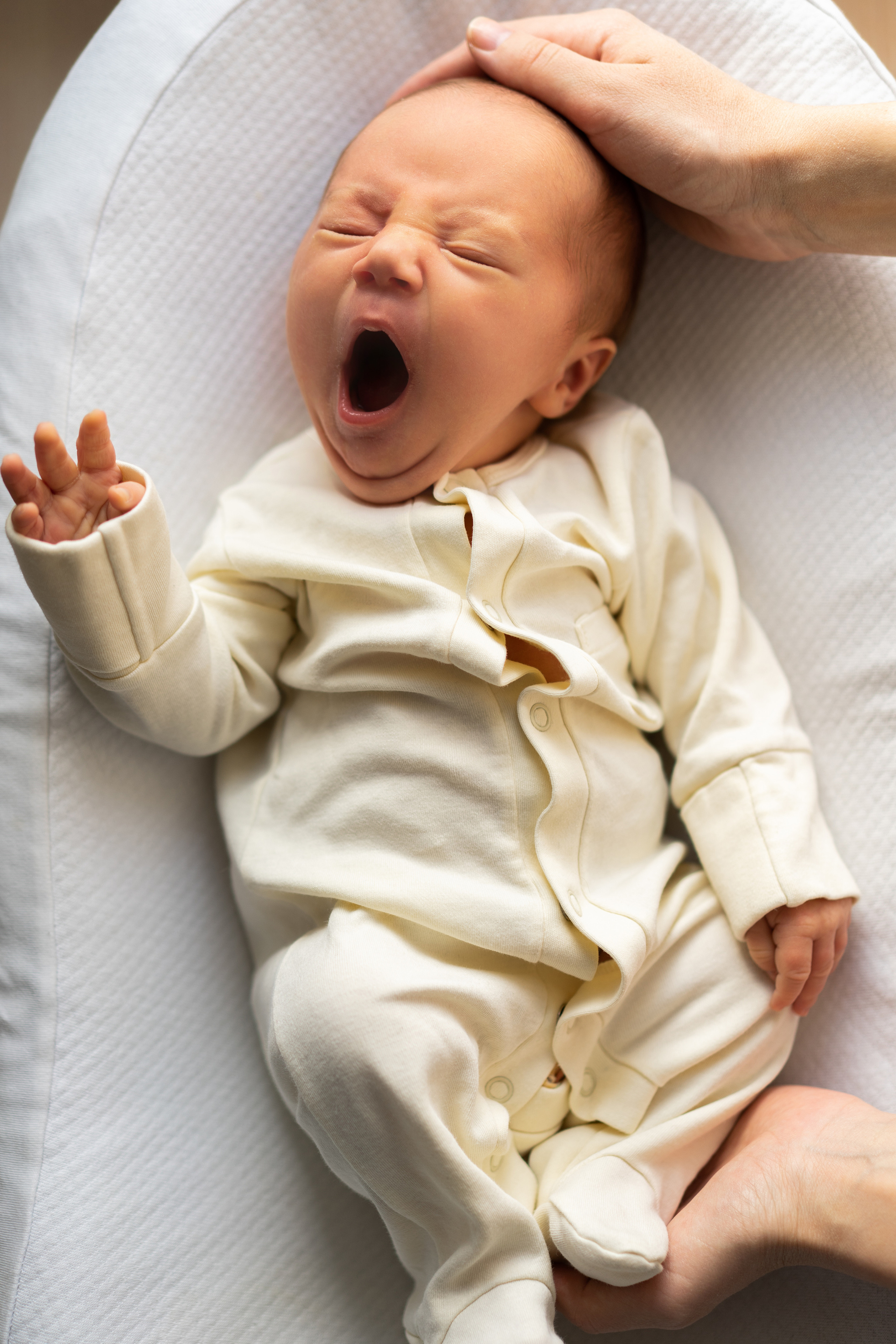 Алла и Ева. Семейный и детский фотограф в Санкт-Петербурге Дарина Герчиу