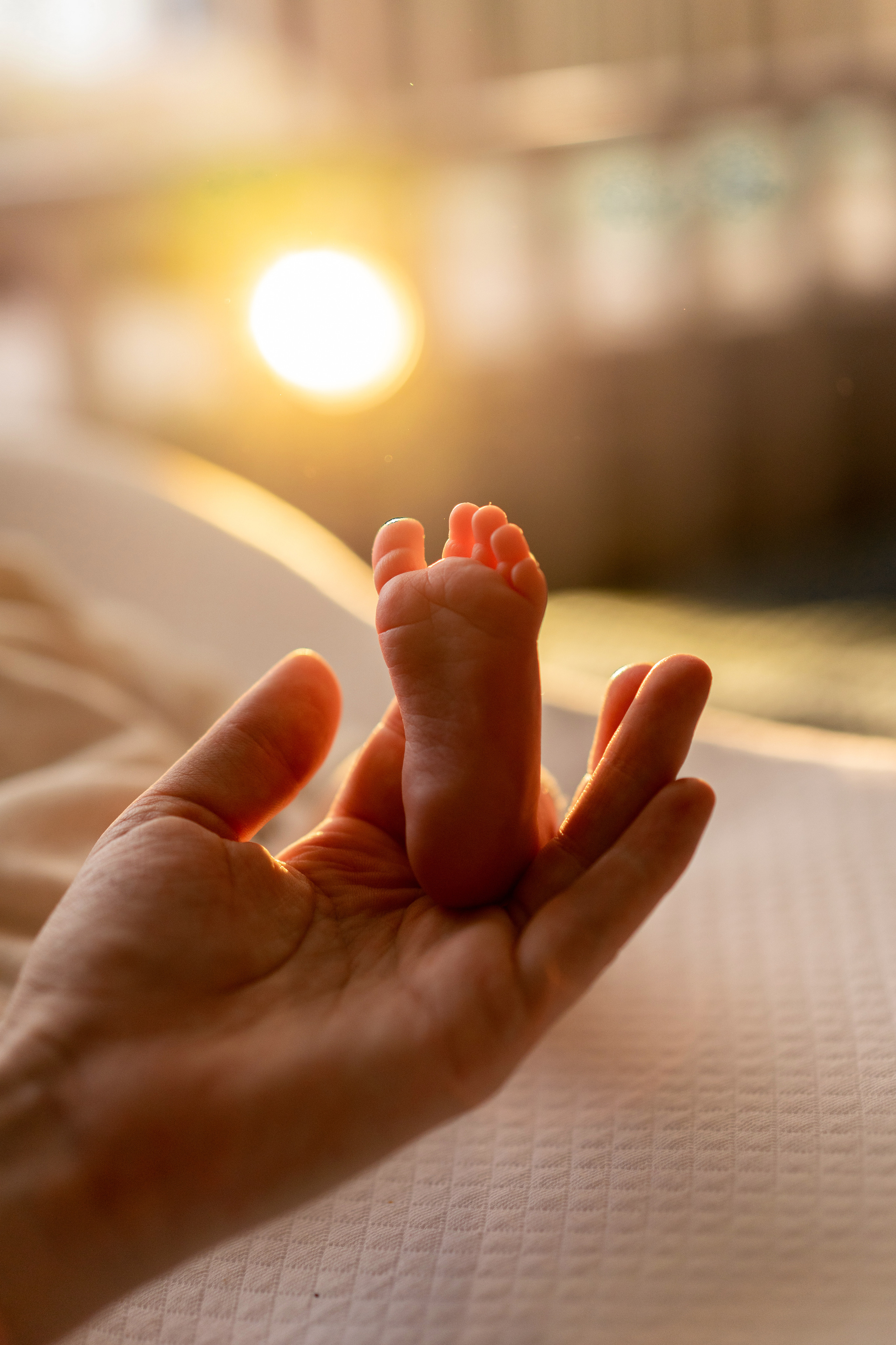 Екатерина и Ева. Семейный и детский фотограф в Санкт-Петербурге Дарина Герчиу