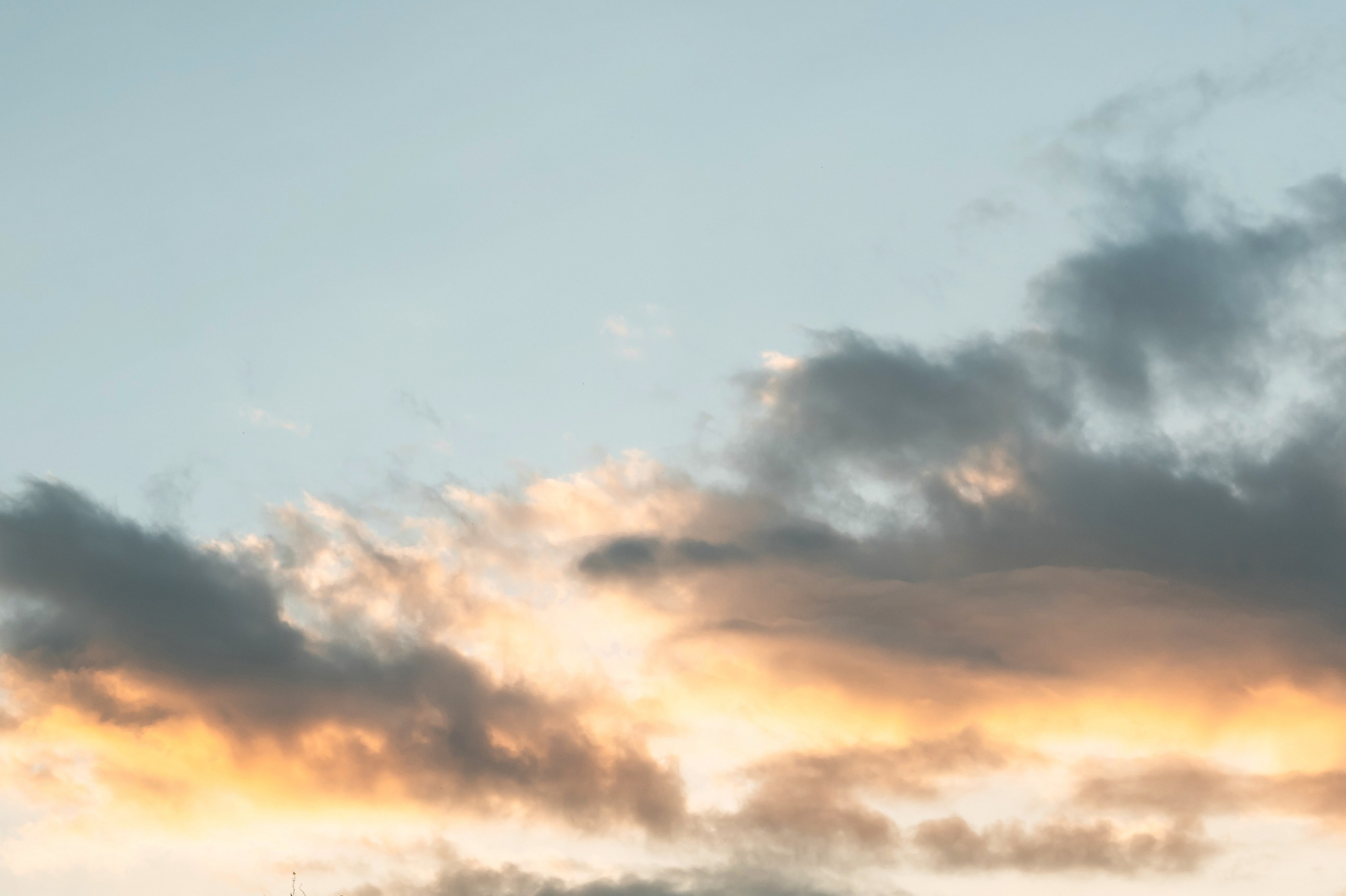 Ноябрь пахнет корицей. Свадебный фотограф в Краснодаре и Сочи Комолова Екатерина