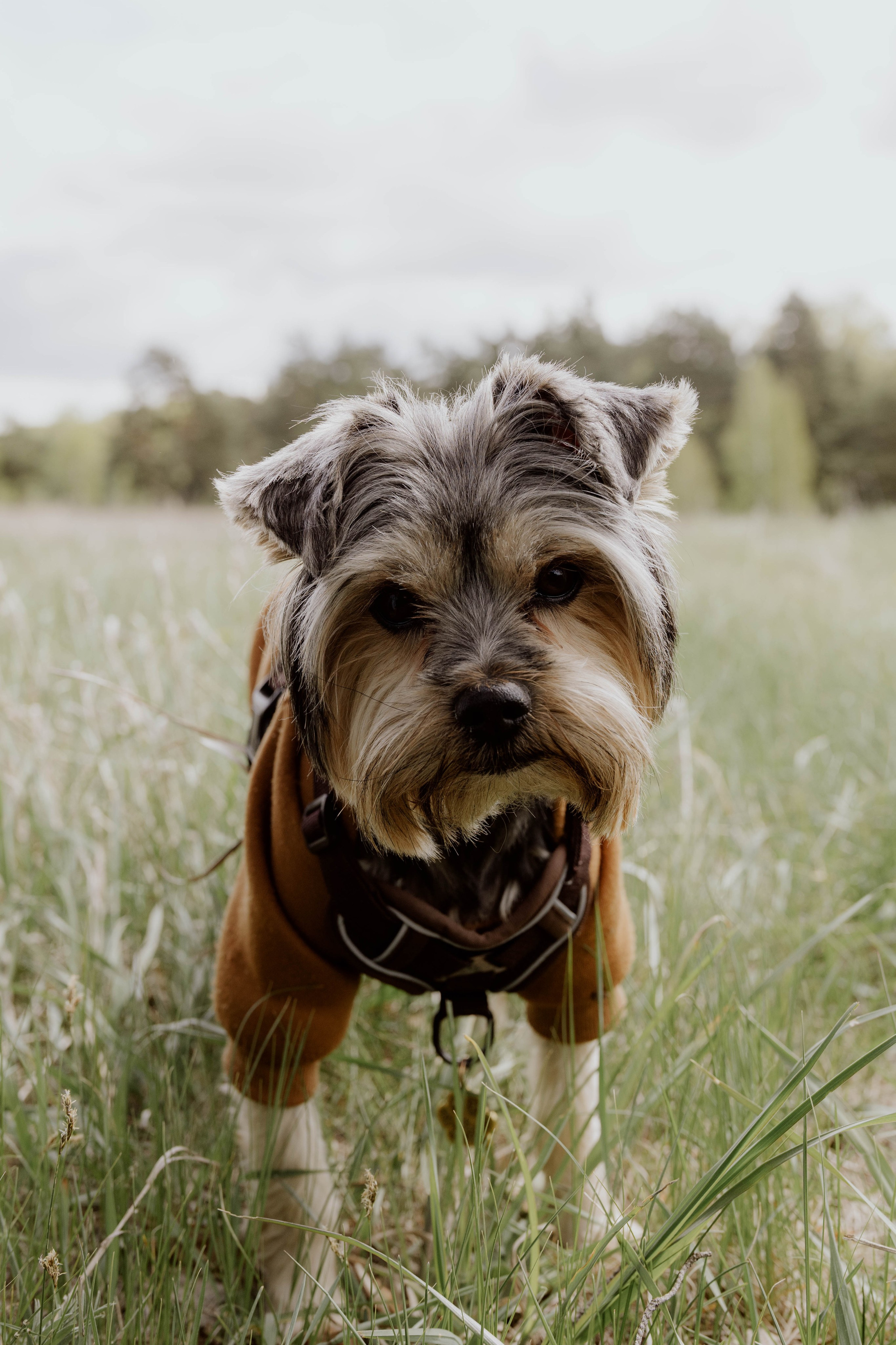 Семейная съемка. Катя и Федя. Фотограф Юсова Мария