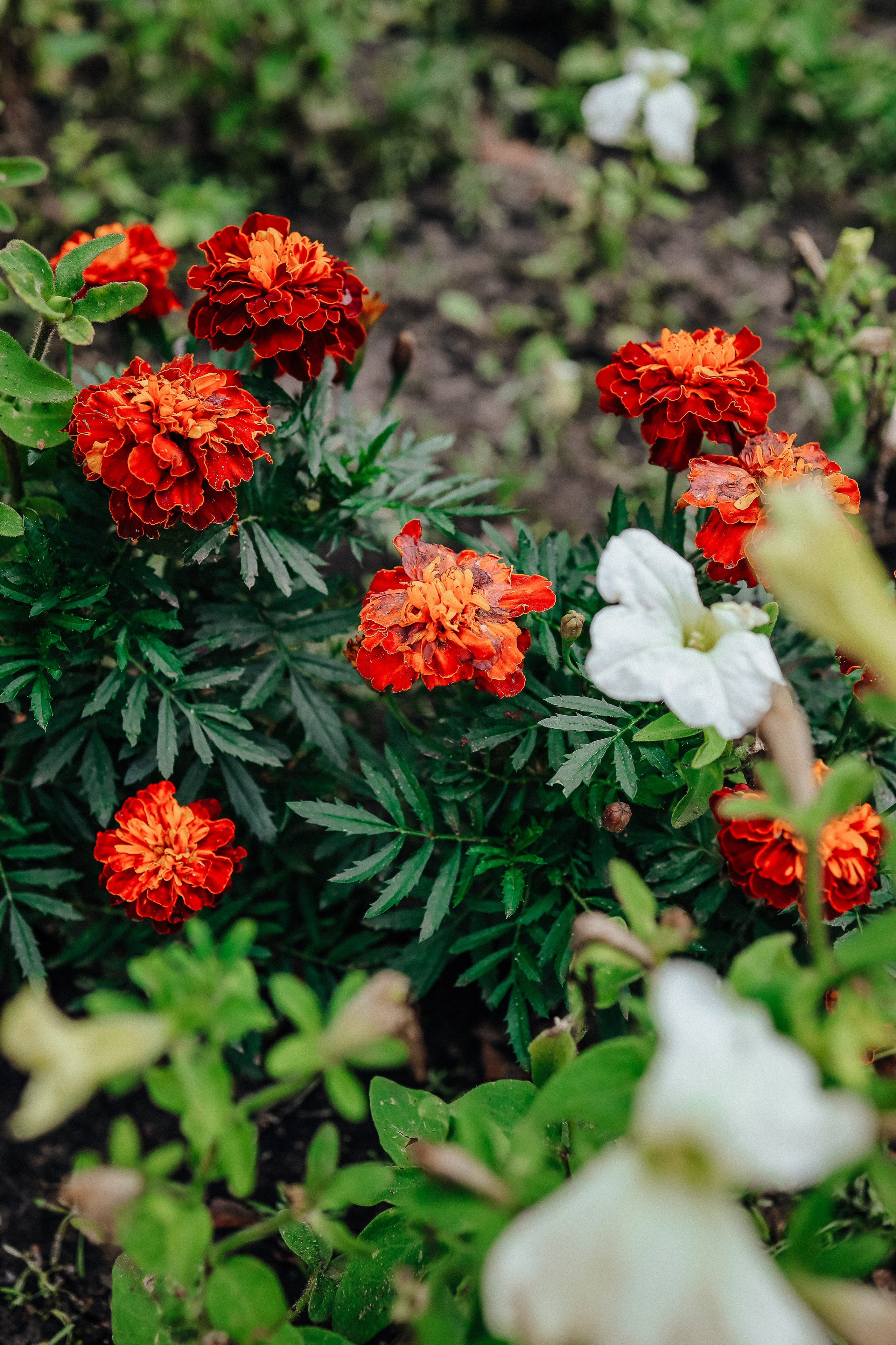 Женский портрет для тебя и твоего дела. Профессиональный фотограф в Санкт-Петербурге Александр Волосенцев