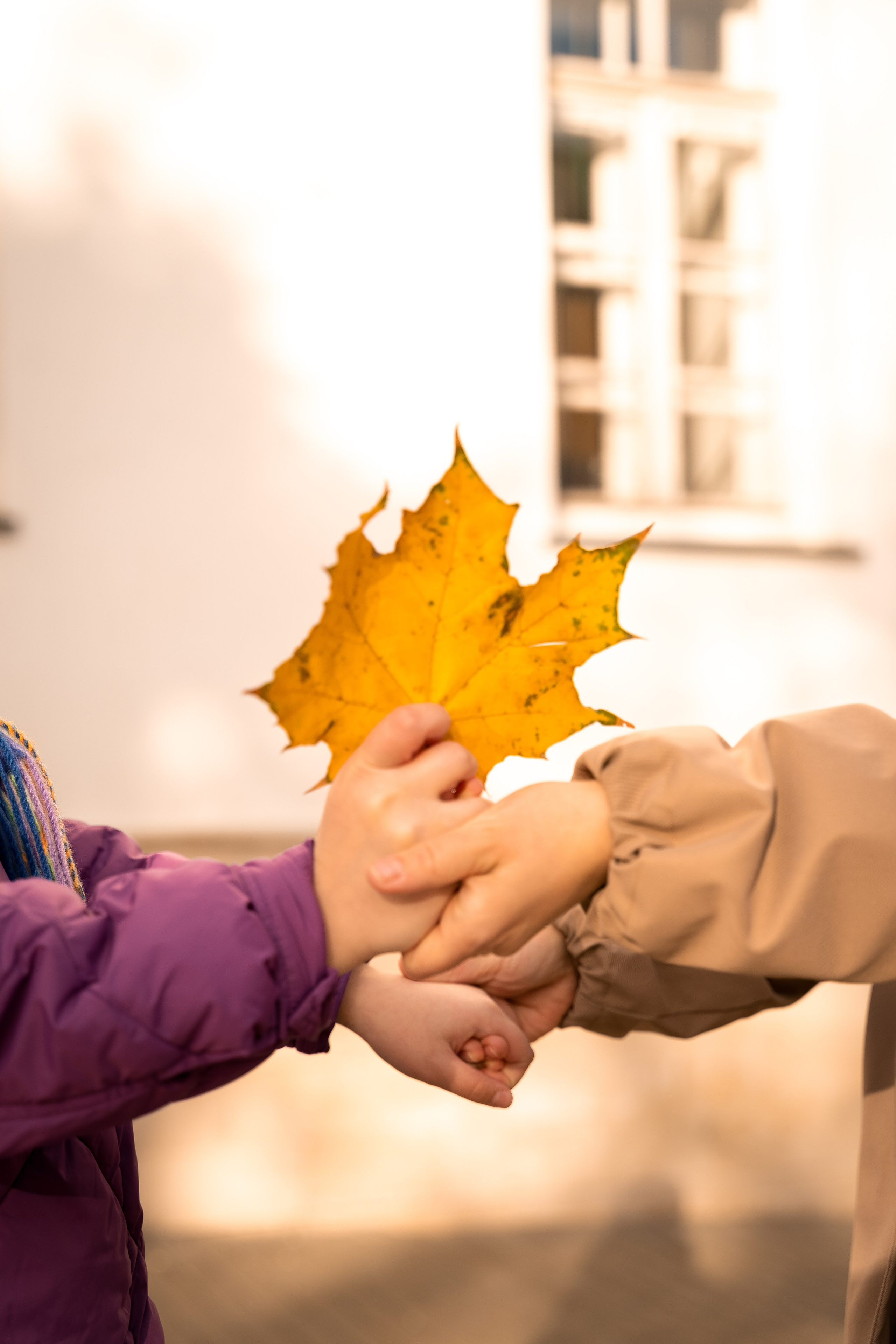 Катя и Вася. Фотограф в Ульяновске Александра Григоровских