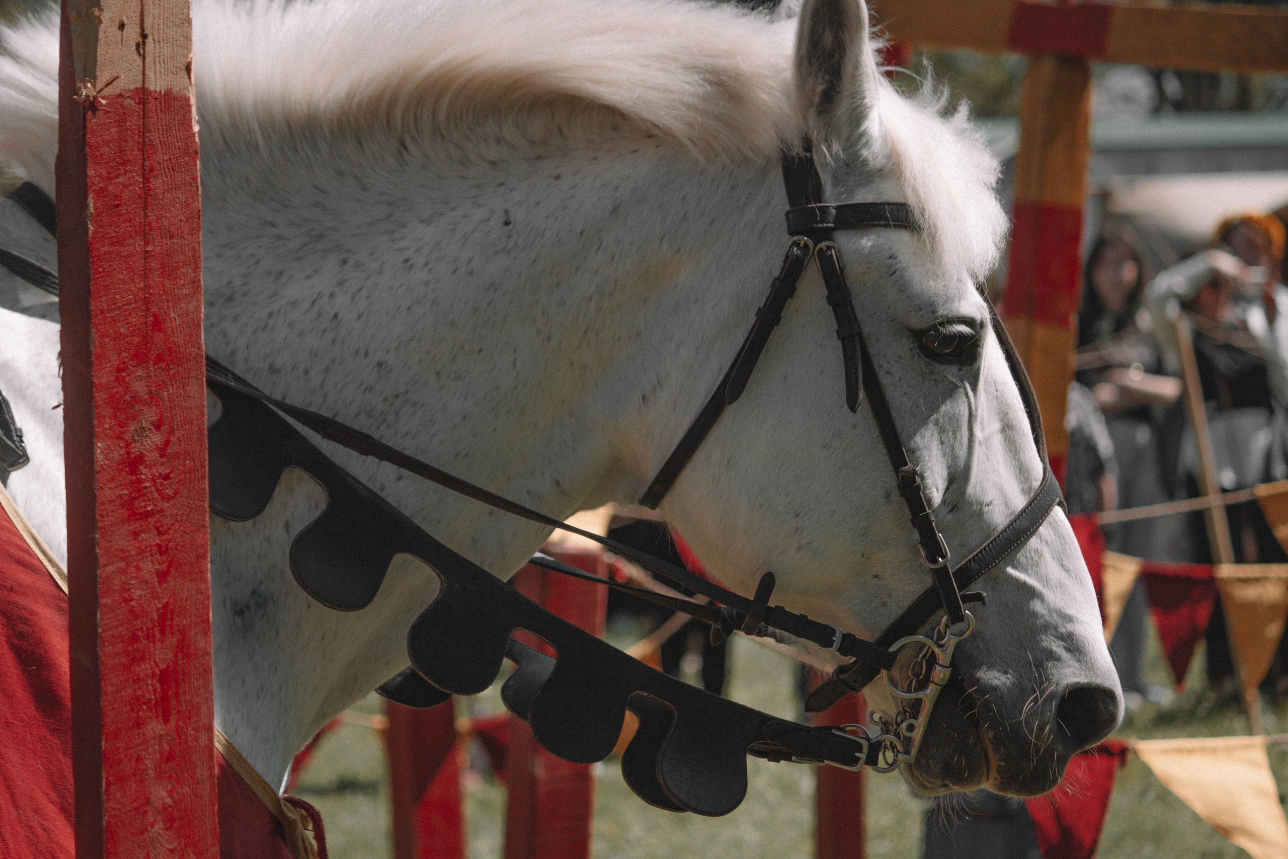 СТАРАЯ ЛАДОГА — Историко-культурный фестиваль. Создадим шедевр? Виталина и её фотоискусство