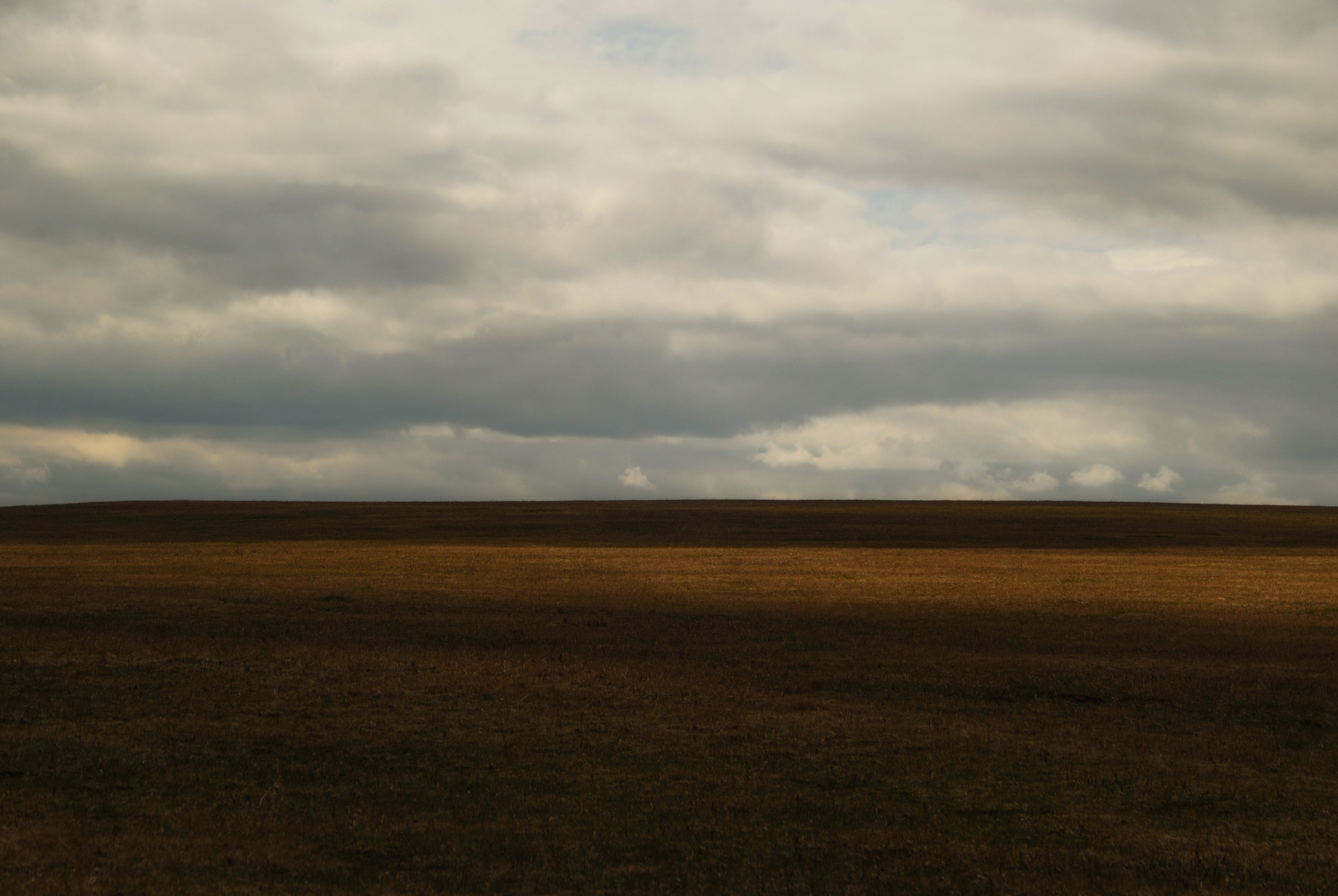 Этот прекрасный мир