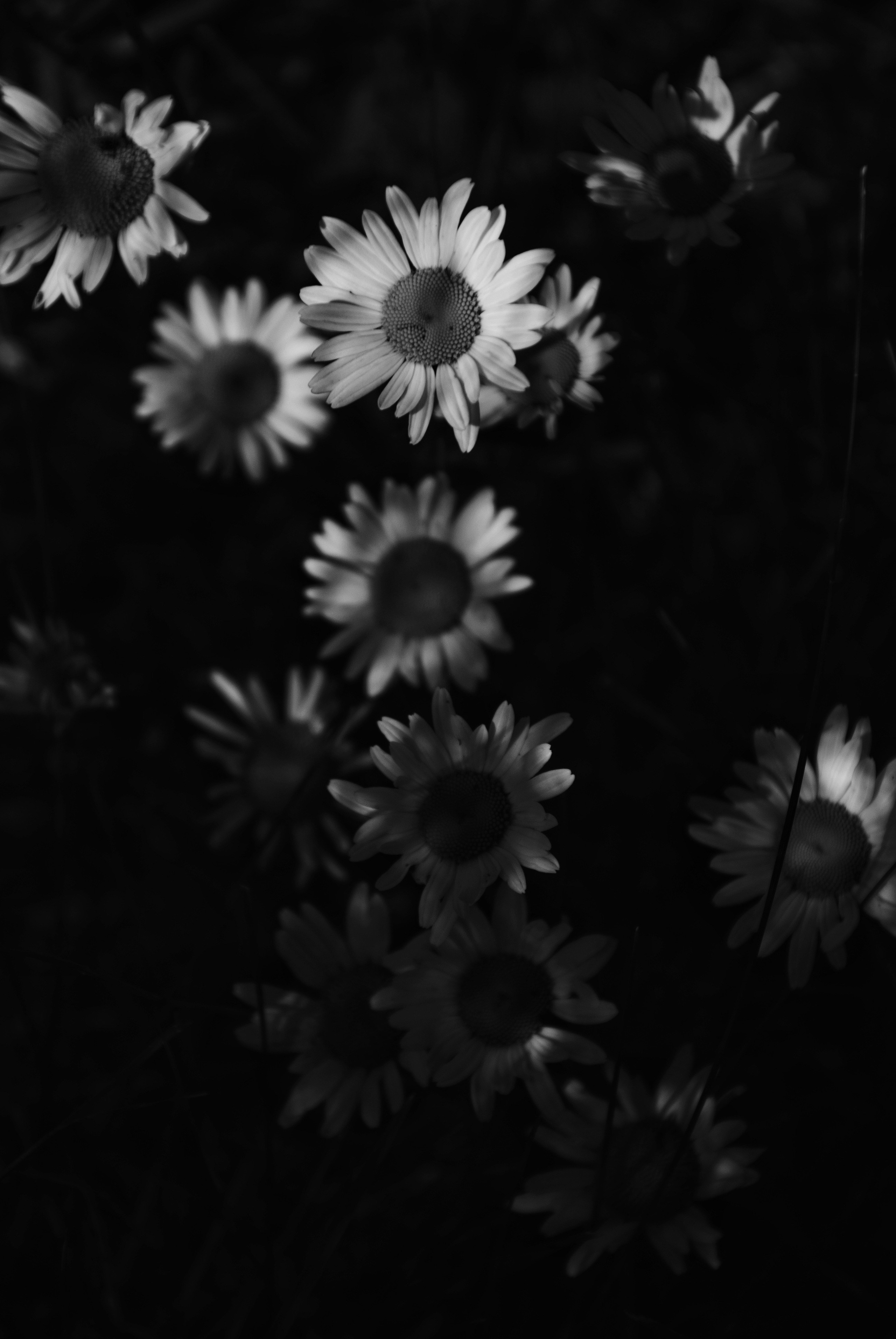 Внутривенные сны (2018-2023)