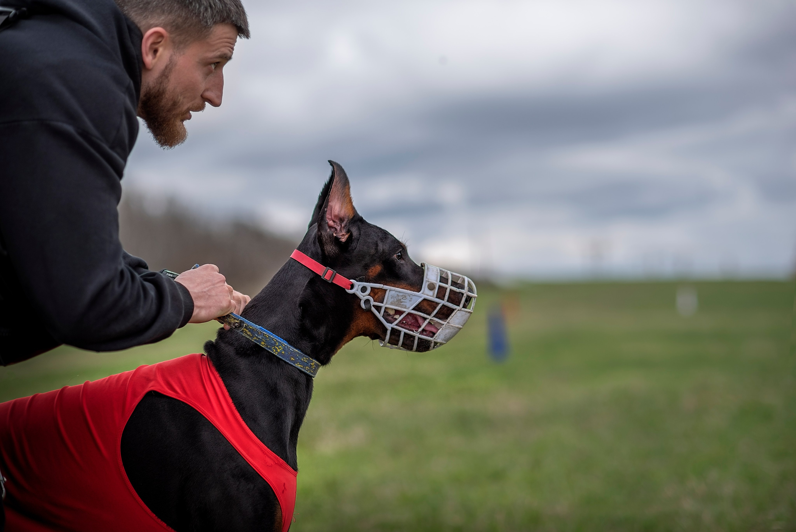Курсинг. Фотограф анималист Ставрополь Яна Кудлай