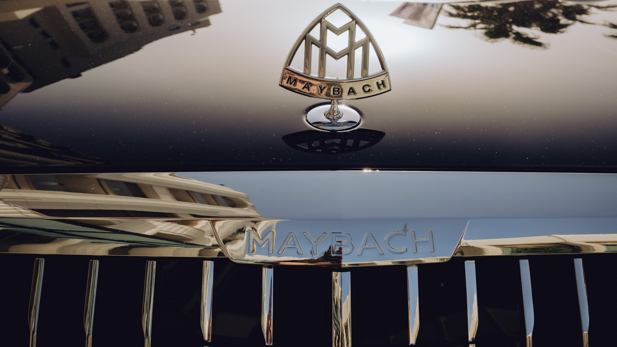 Прогулка в Сочи. Фотограф и Видеограф Анапа, Новороссийск, Краснодар. Алина и Женя