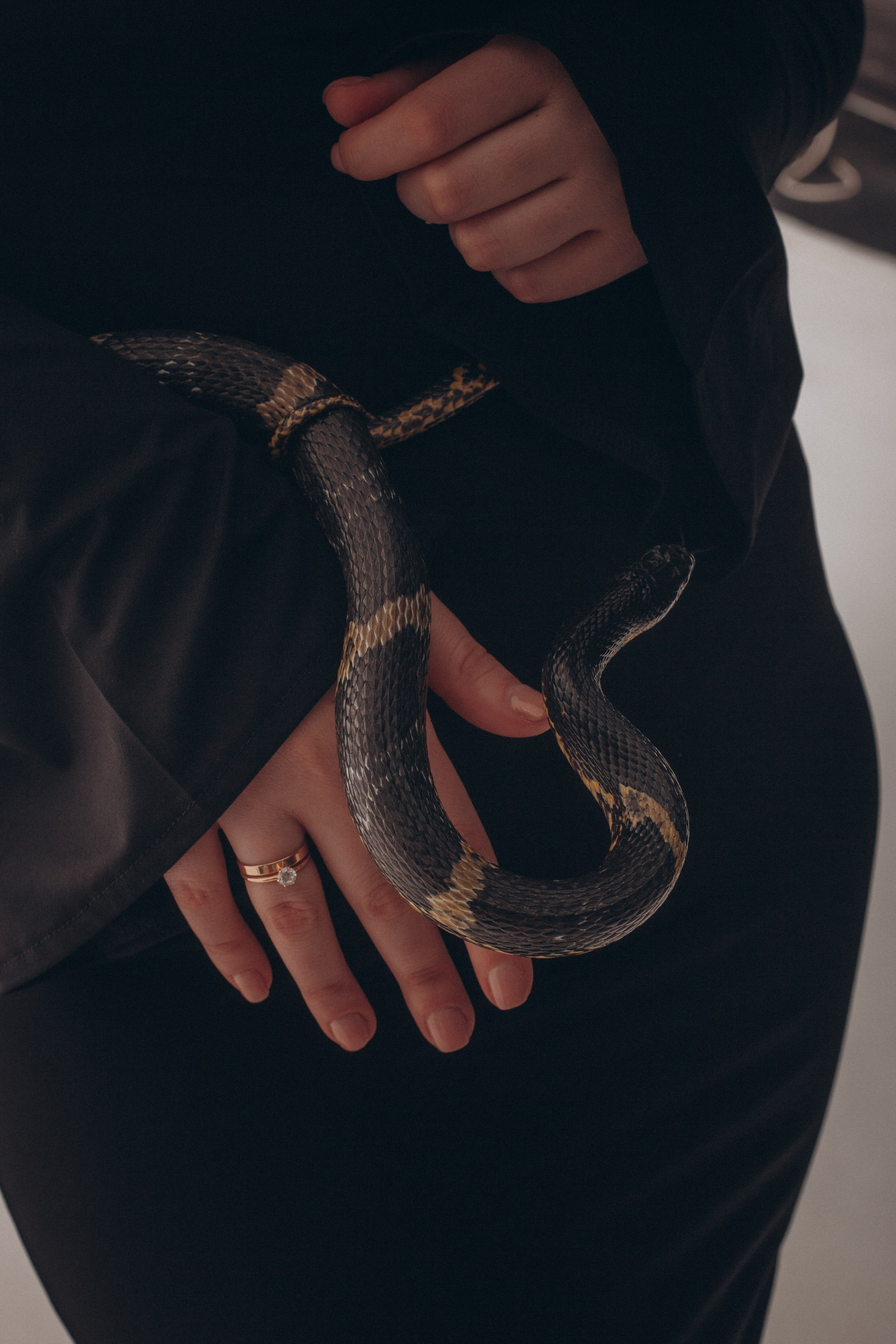 Змеи. Фотограф Алёна Сергеевна Aloha_chë