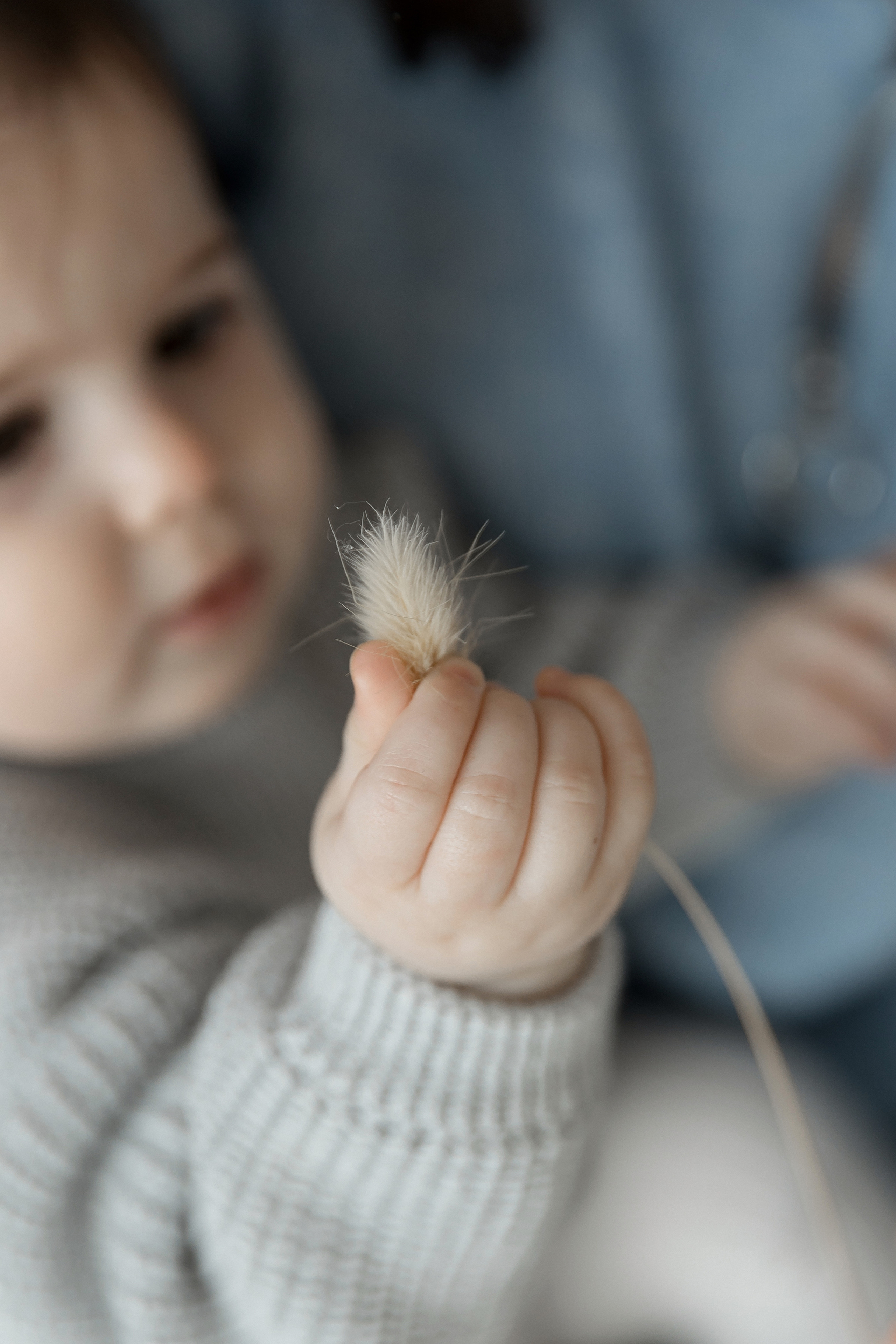 Семейная съемка Виктор и Карина. Свадебный фотограф Колесников Антон