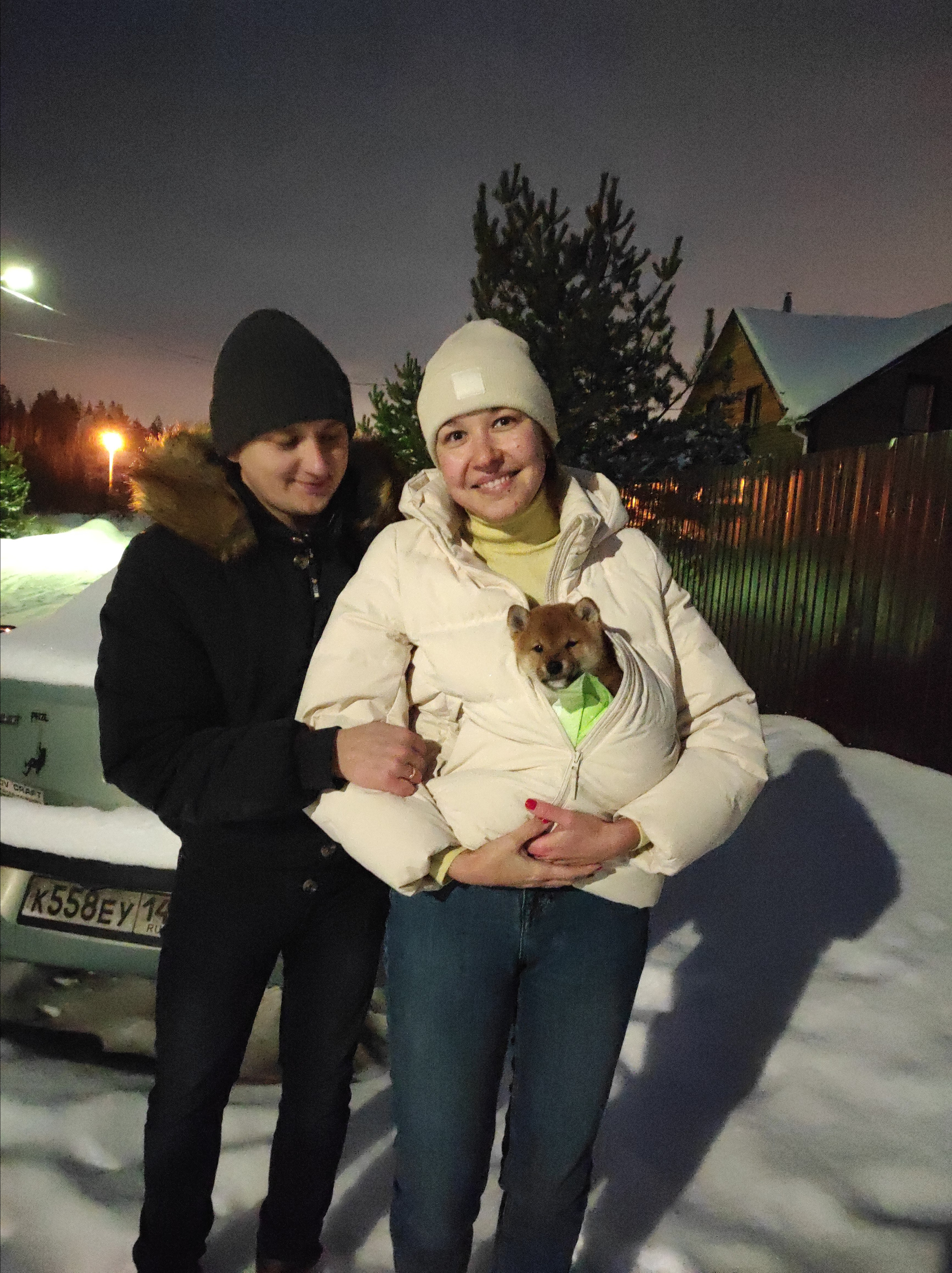 Rubylight Chester сиба питомник Рубилайт 