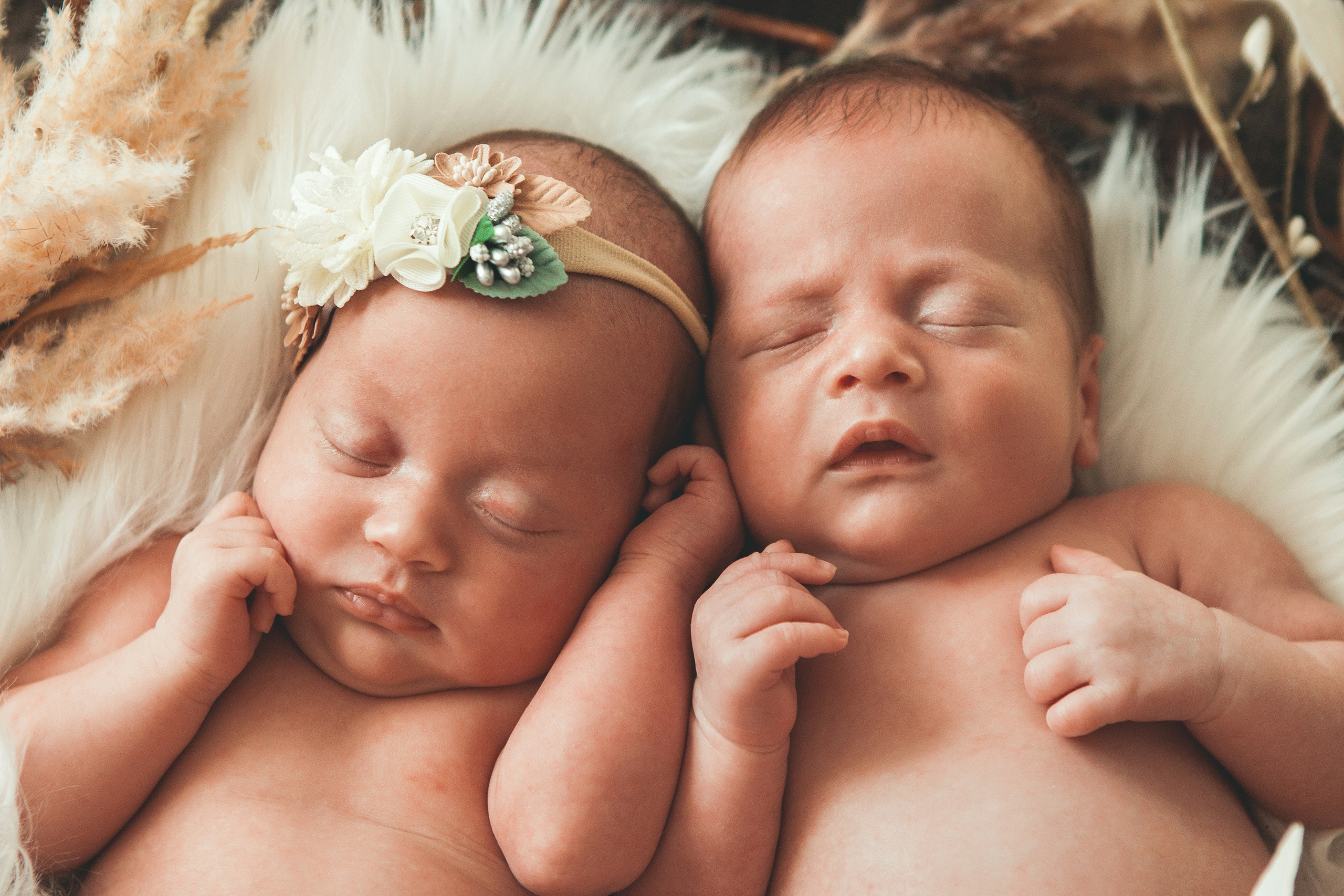 Двойняшки. Фотограф Ольга Ефремова