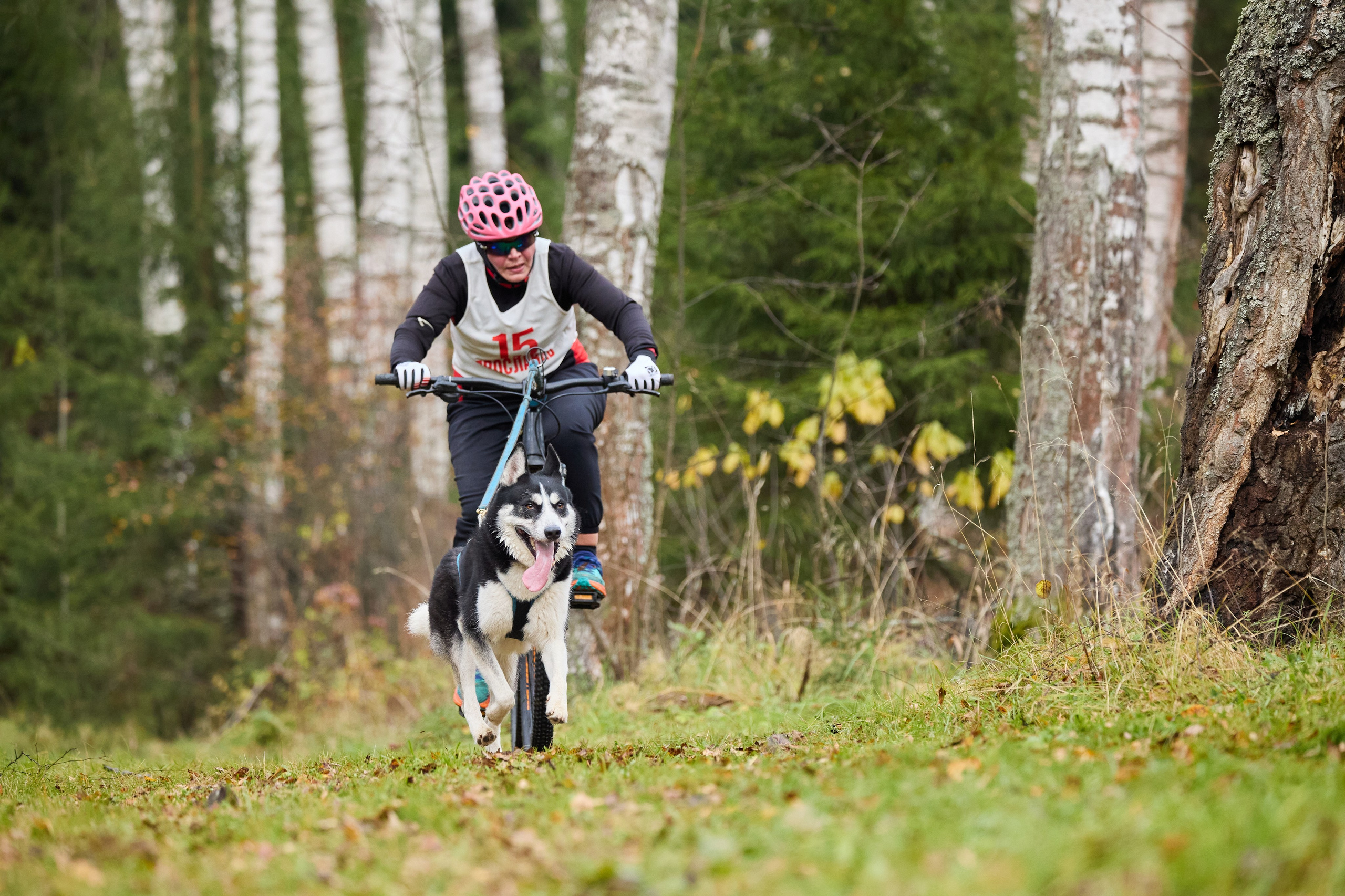 Чемпионат по ЕС Ярославской области. Фотограф Ирина Астор
