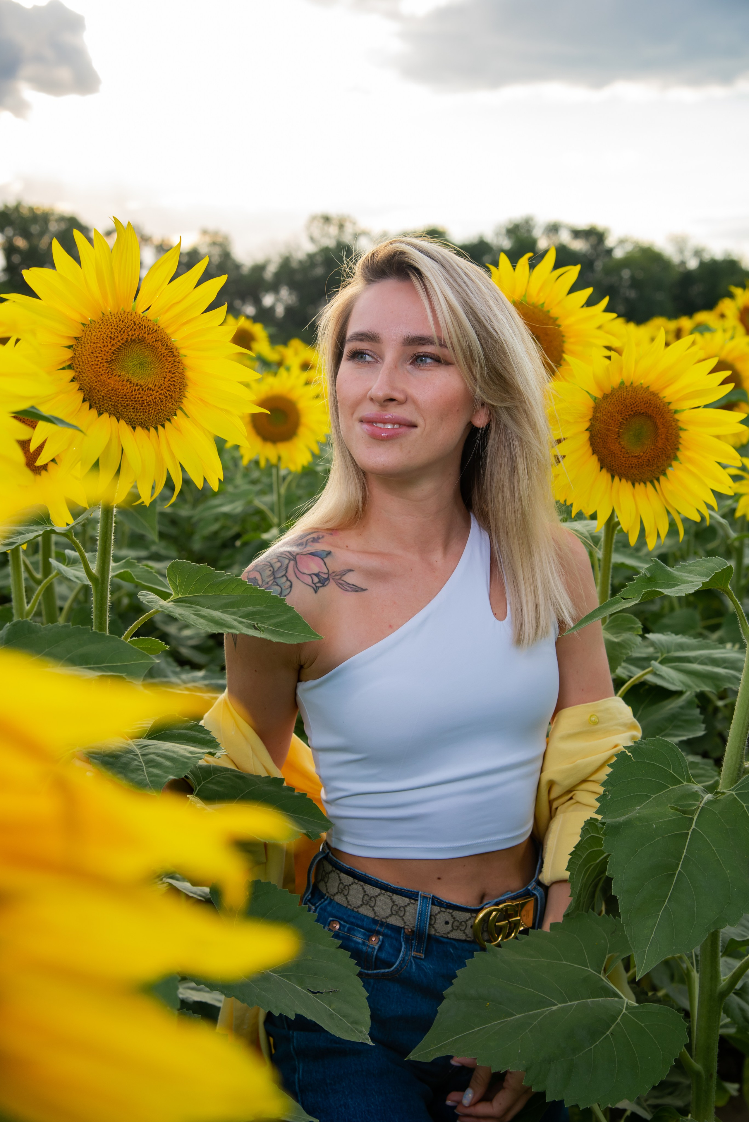 Подсолнух. Фотограф Галина Нестерова