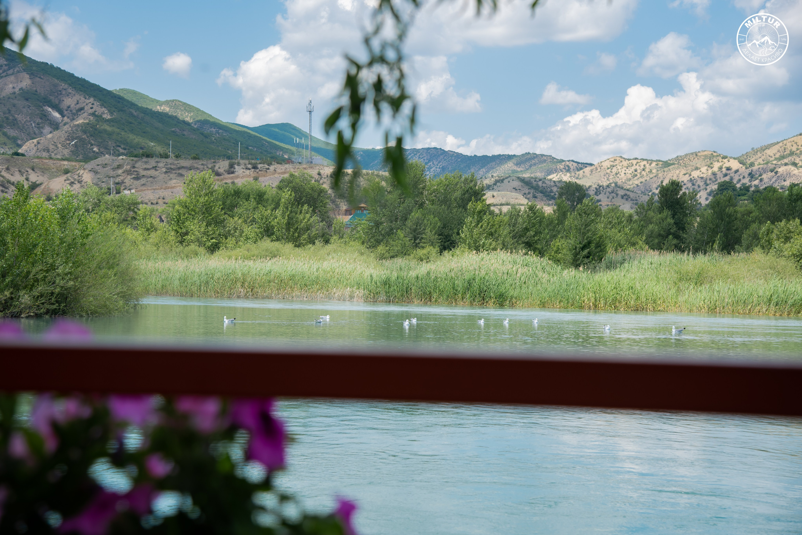 Тур в Чечню. Фотограф Галина Нестерова