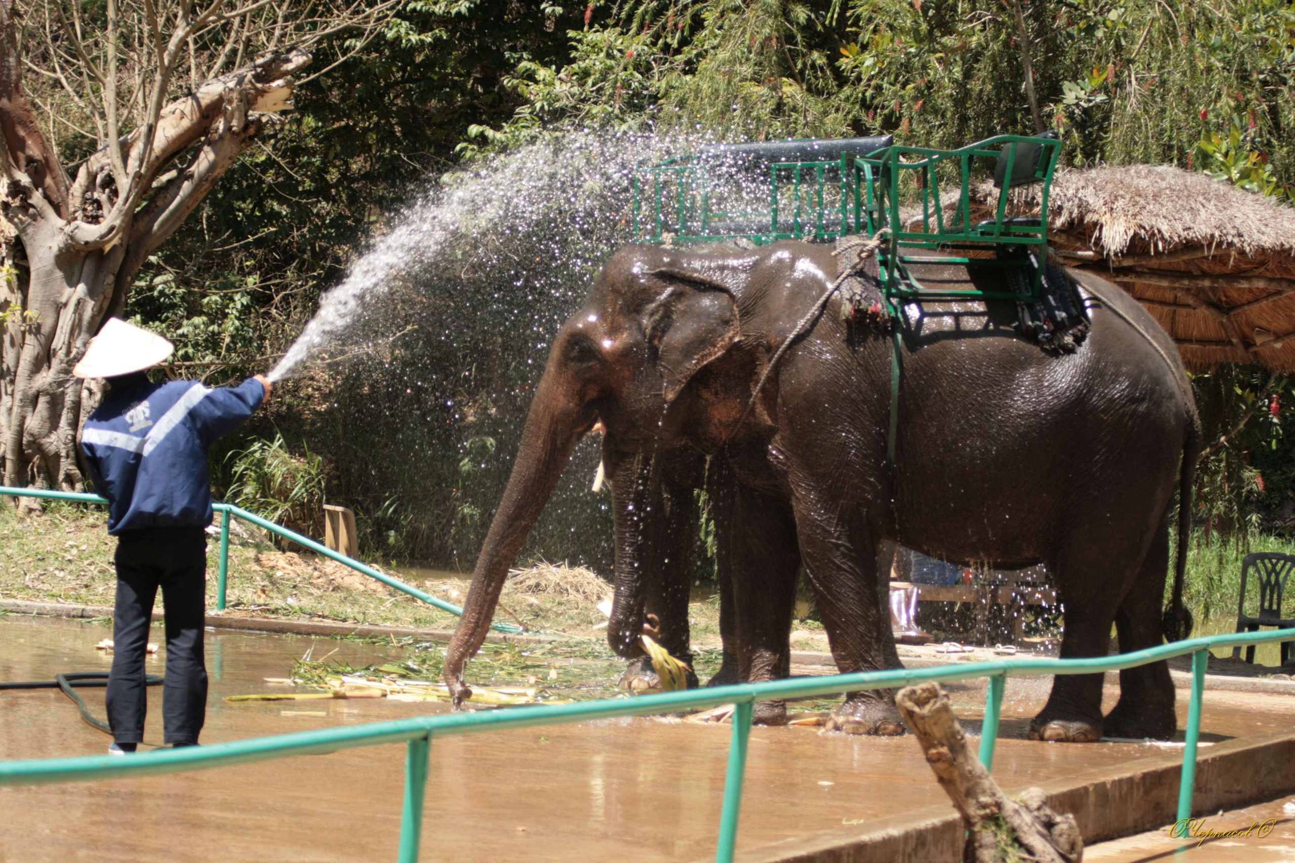 Вьетнам 2008 г. Улица, люди, жизнь…