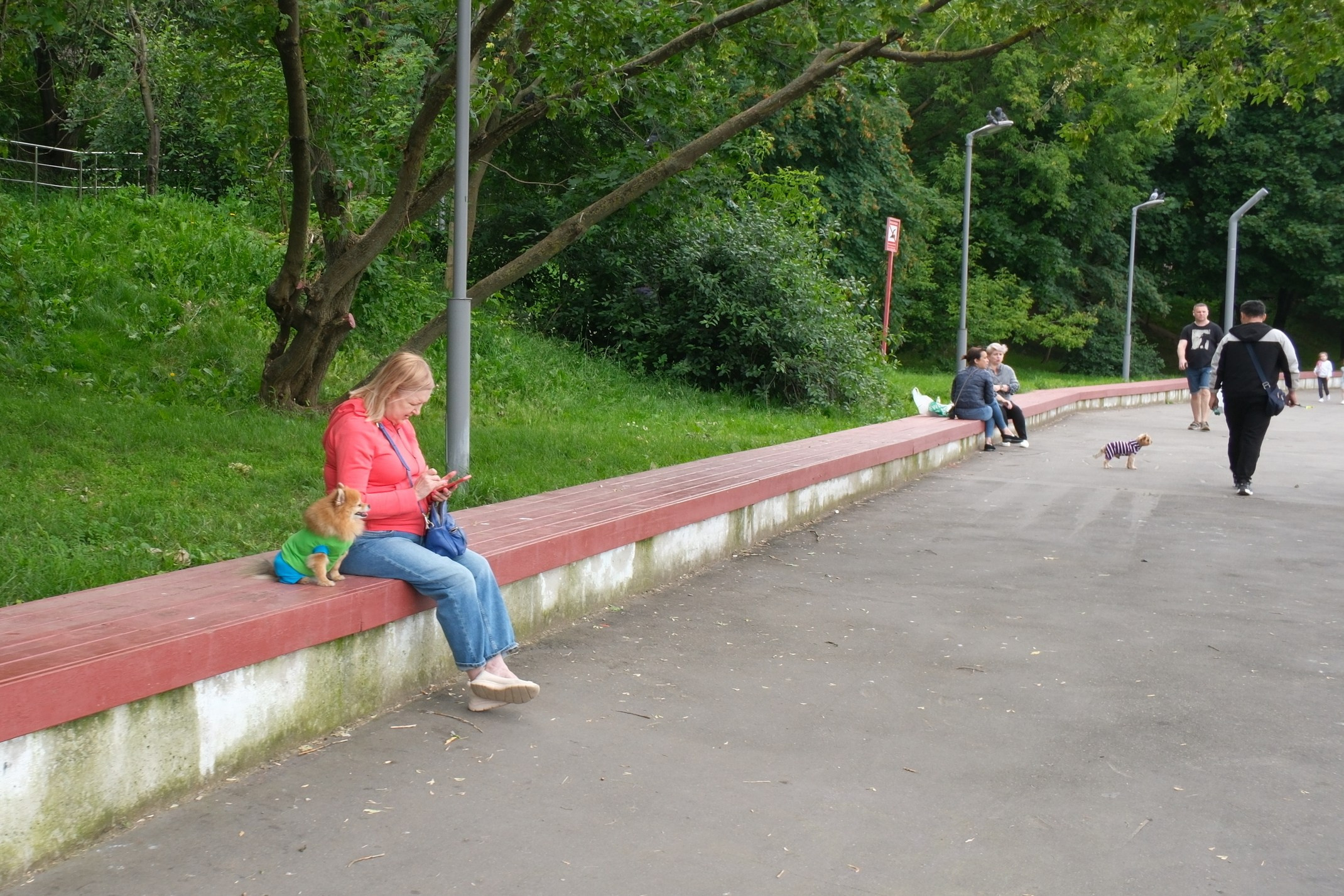 Прогулка на Каскадные пруды в Чертаново 06.07.2025. Улица, люди, жизнь…