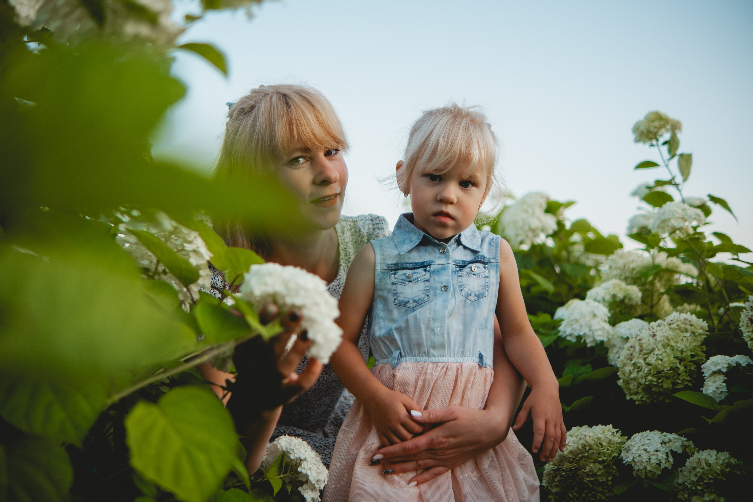 Семейная съемка в лованде. Nattie.ph