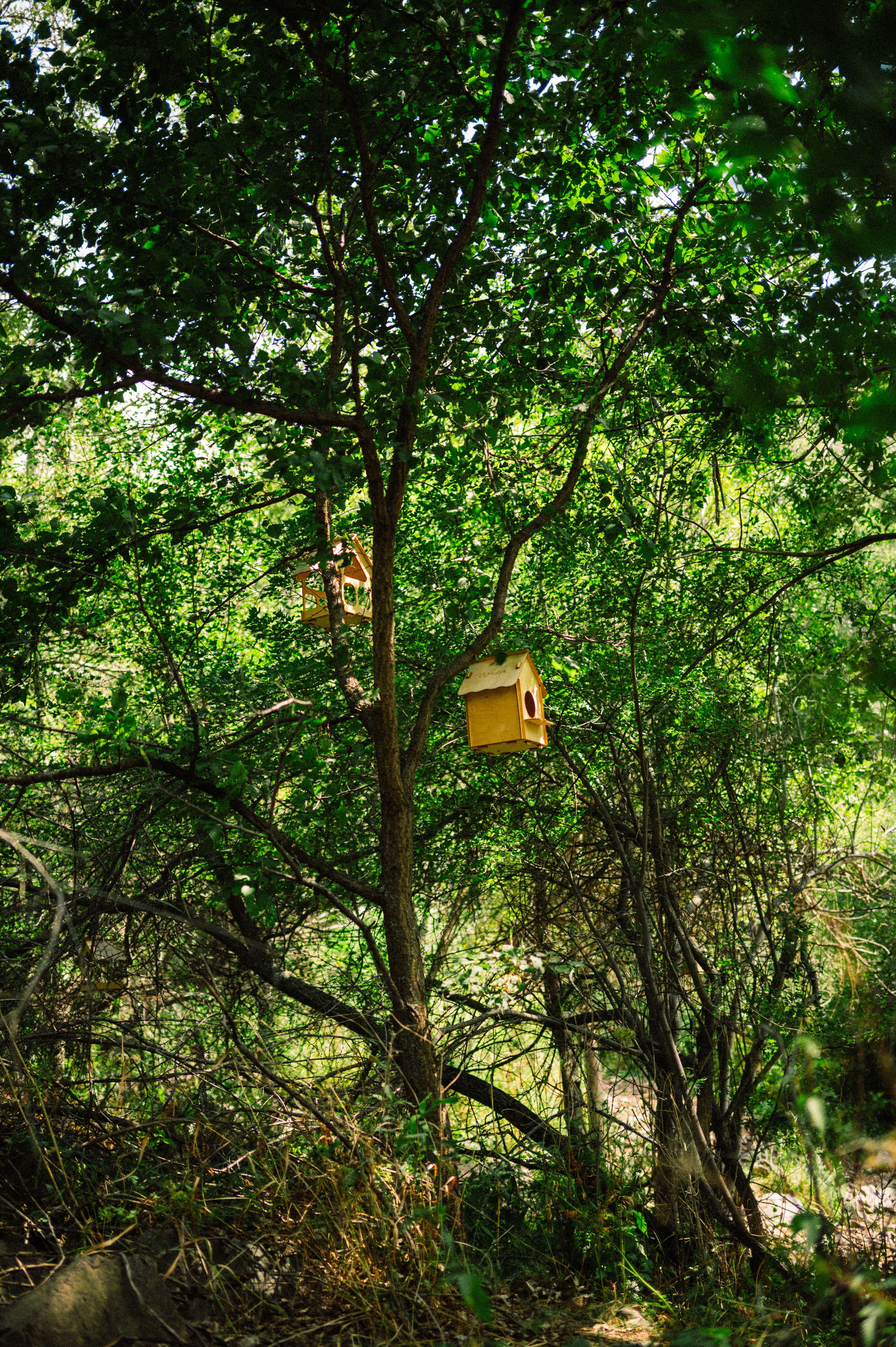 Плато Ассы: июль 2025. Фотограф в Алматы — Дарья Фёдорова