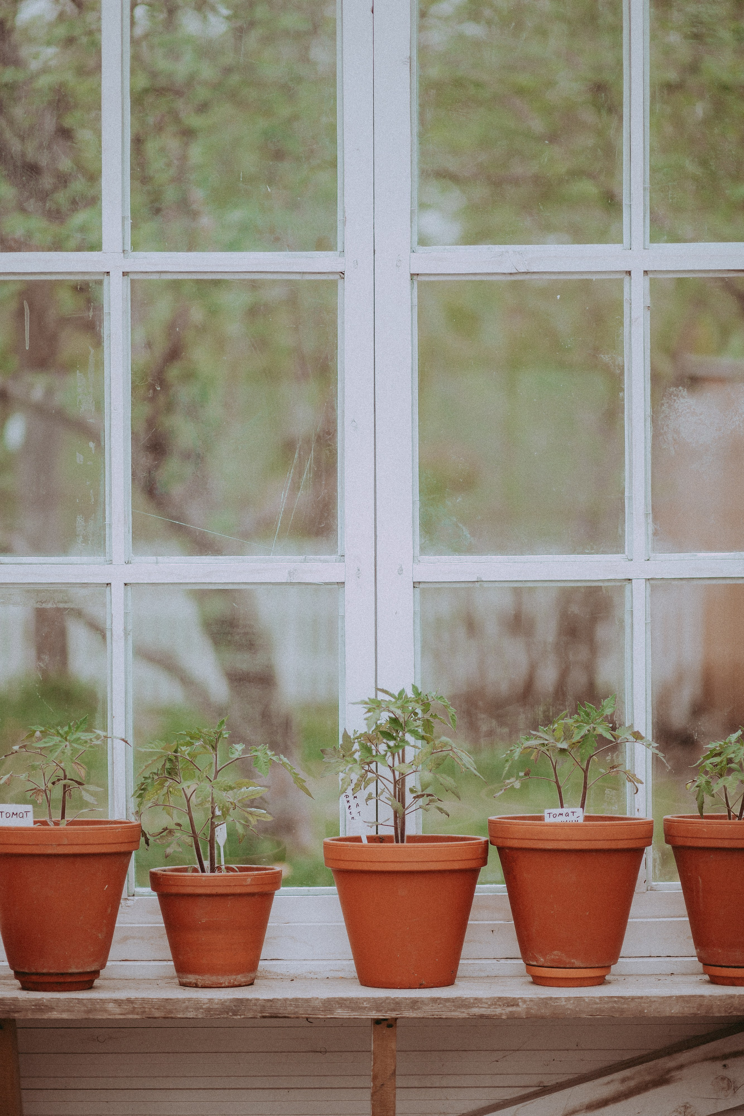 Фотограф в Краснодаре и Краснодарском Крае