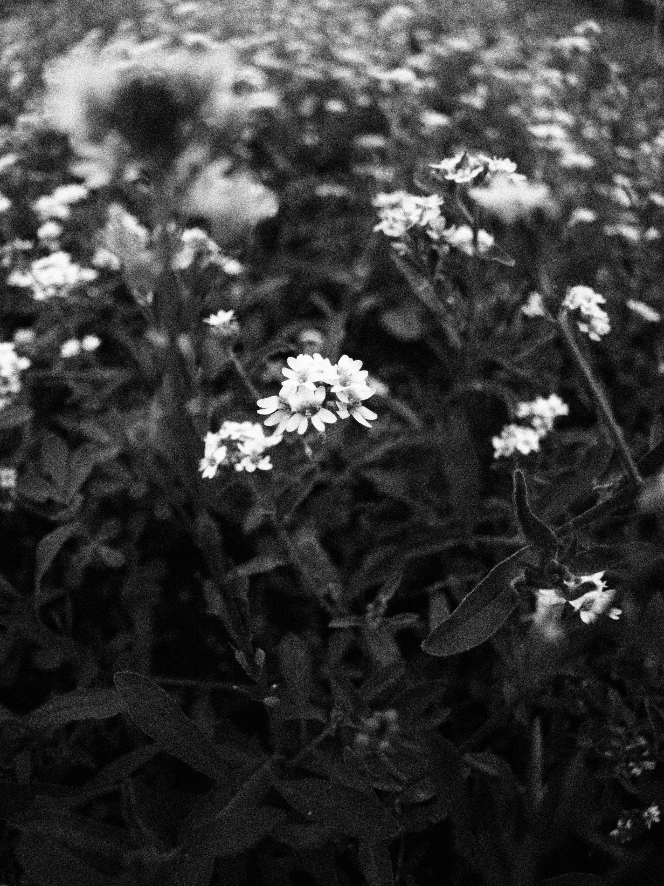 Промежуточные моменты (2023)