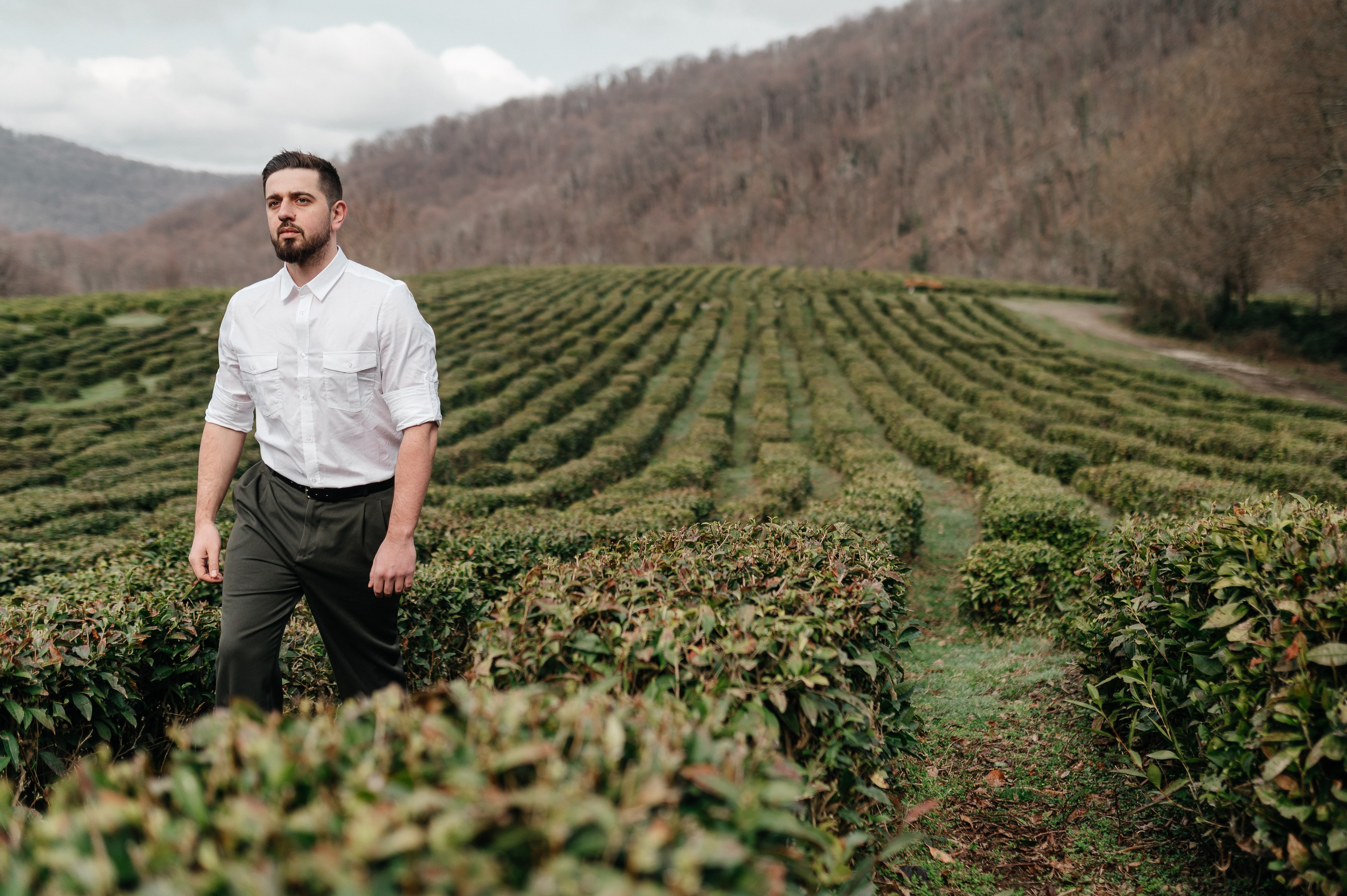 Love Story в плантациях. Свадебный и travel фотограф в Волгограде, Сочи, Домбае, Европе