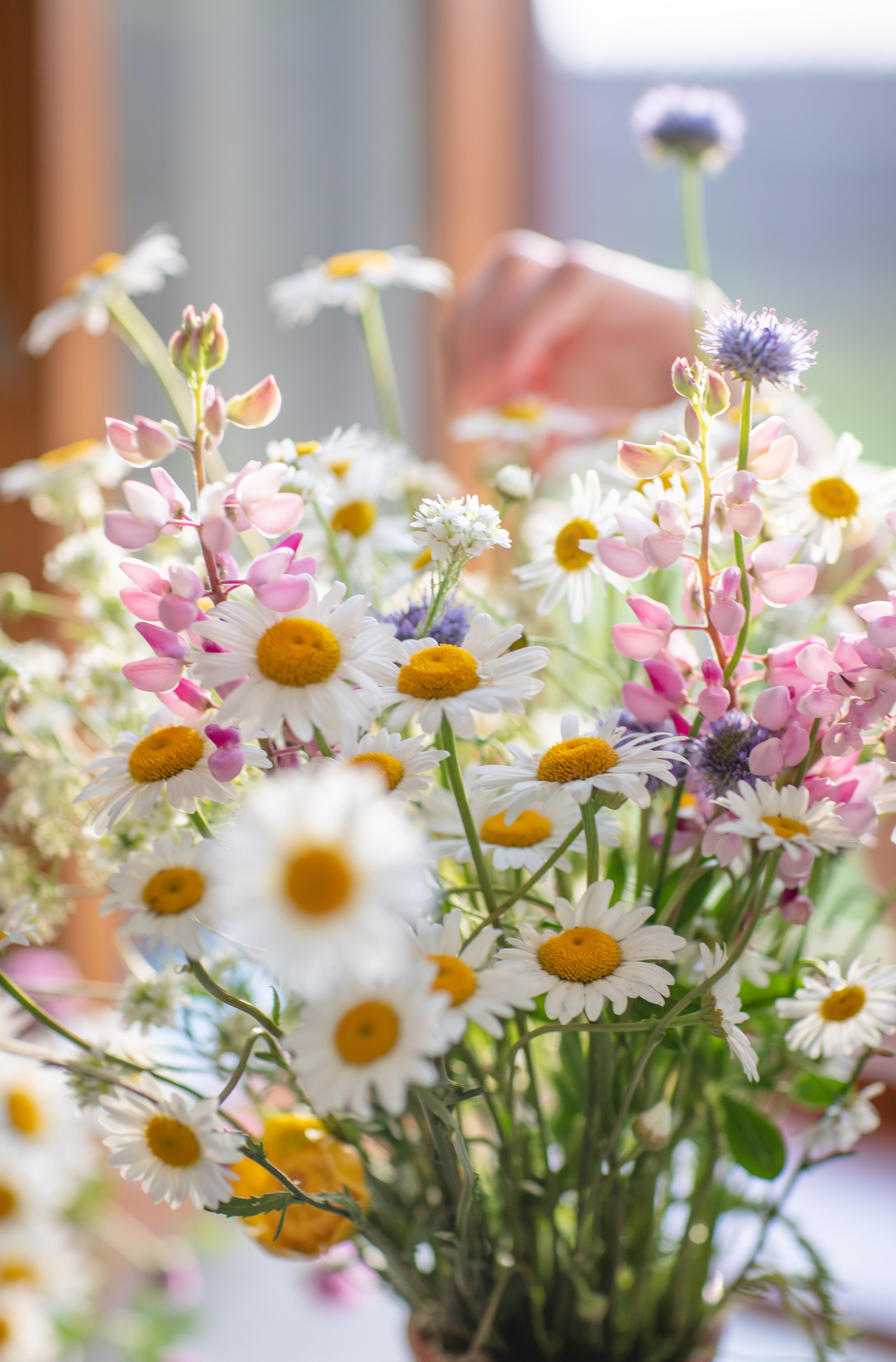 Фототуур «Край озёр» Лето. Семейный фотограф в Москве Анастасия Гурьянова